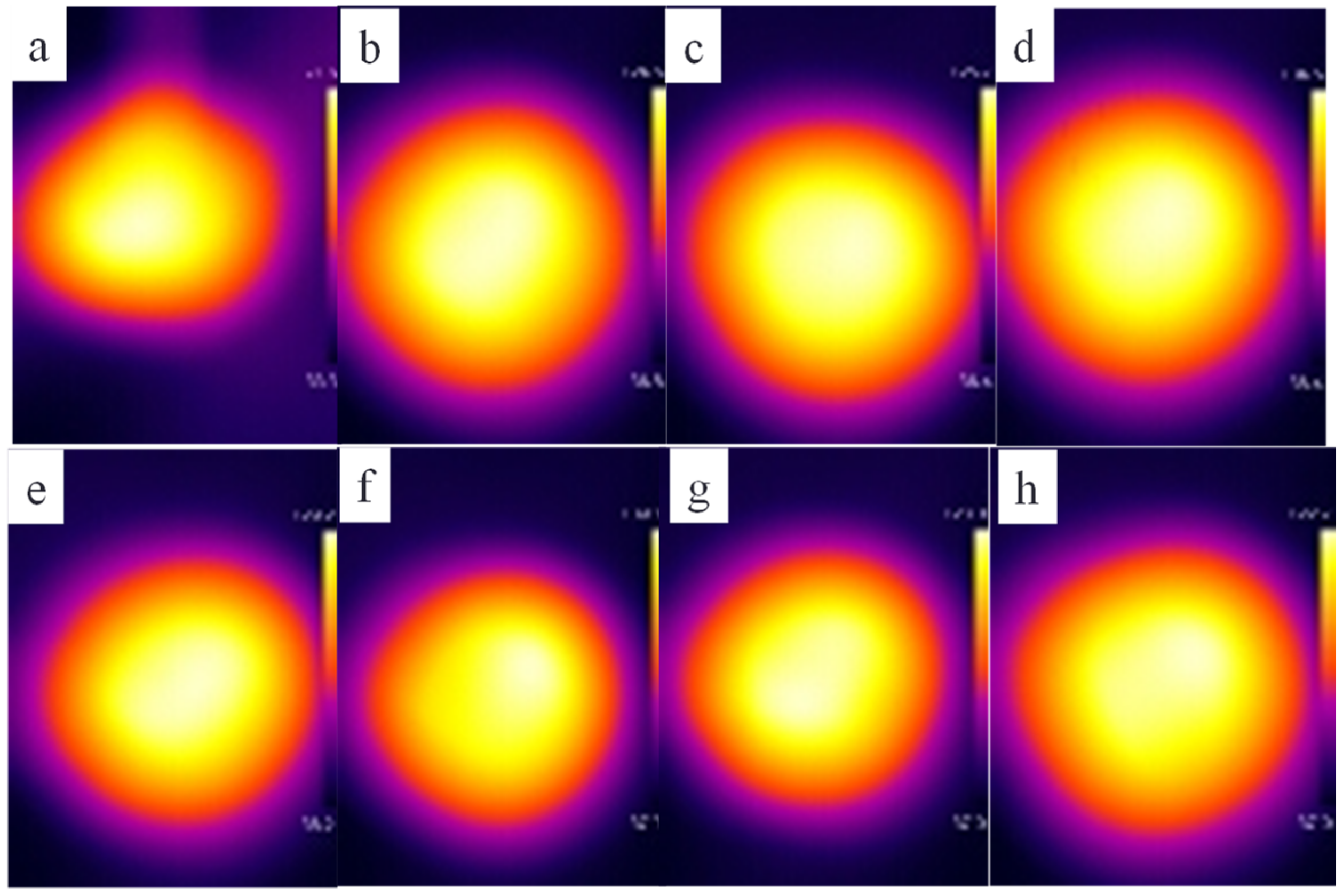 Polymers 14 01183 g006