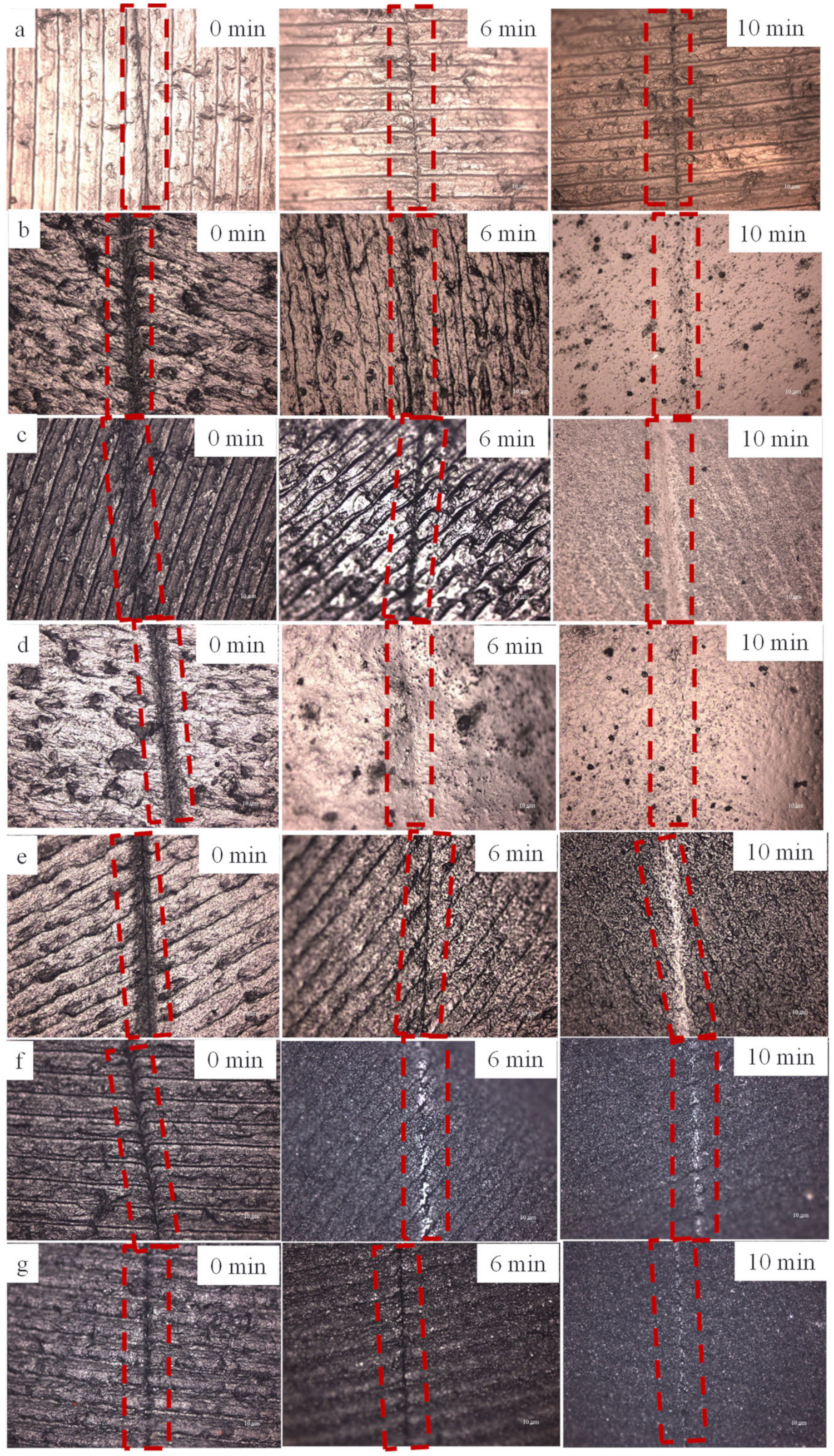 Polymers 14 01183 g009