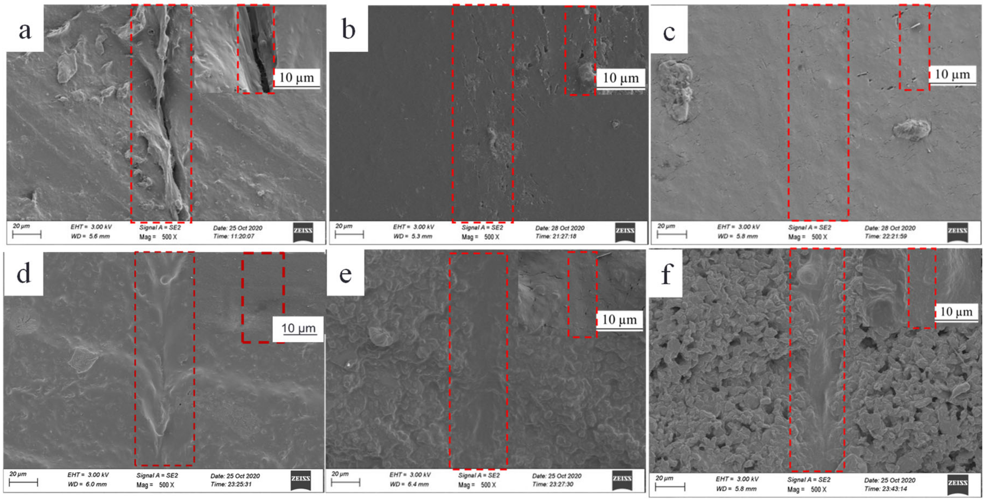 Polymers 14 01183 g010