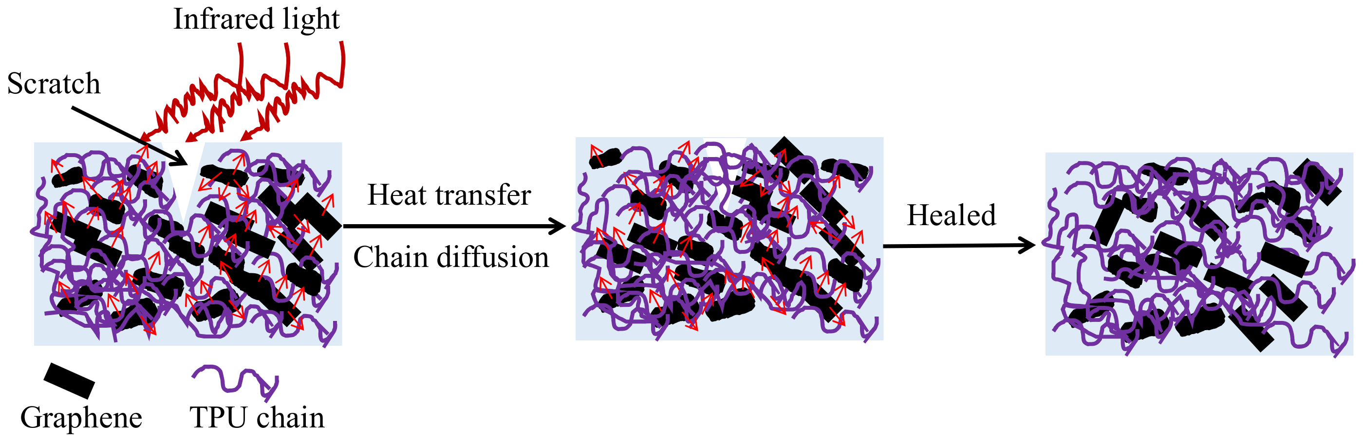 Polymers 14 01183 g013