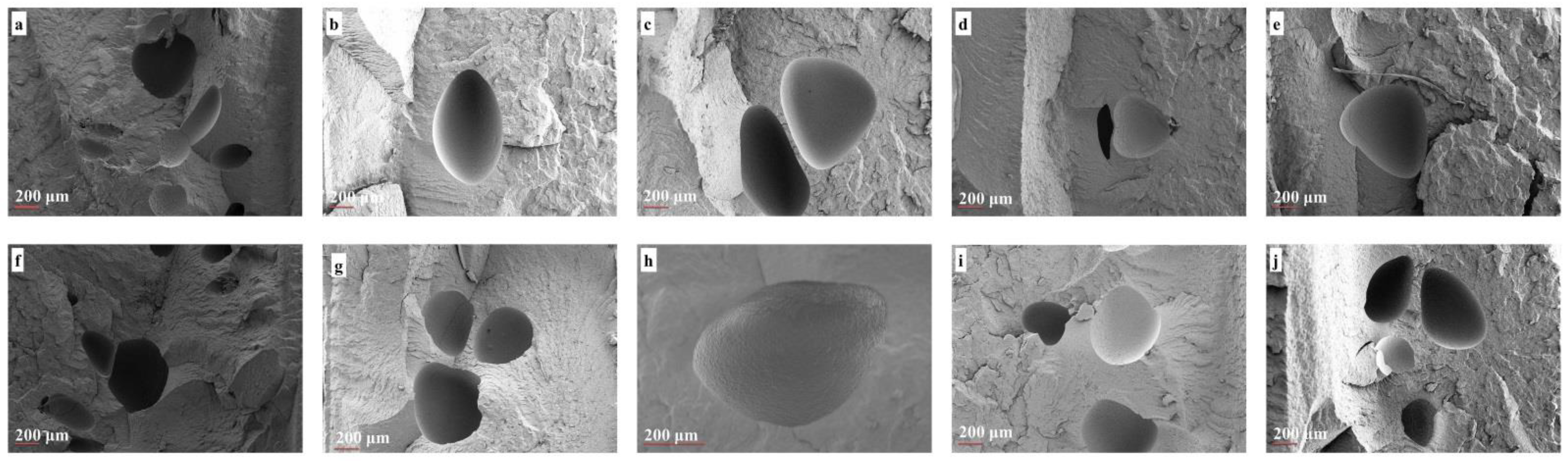 Polymers 14 01192 g005