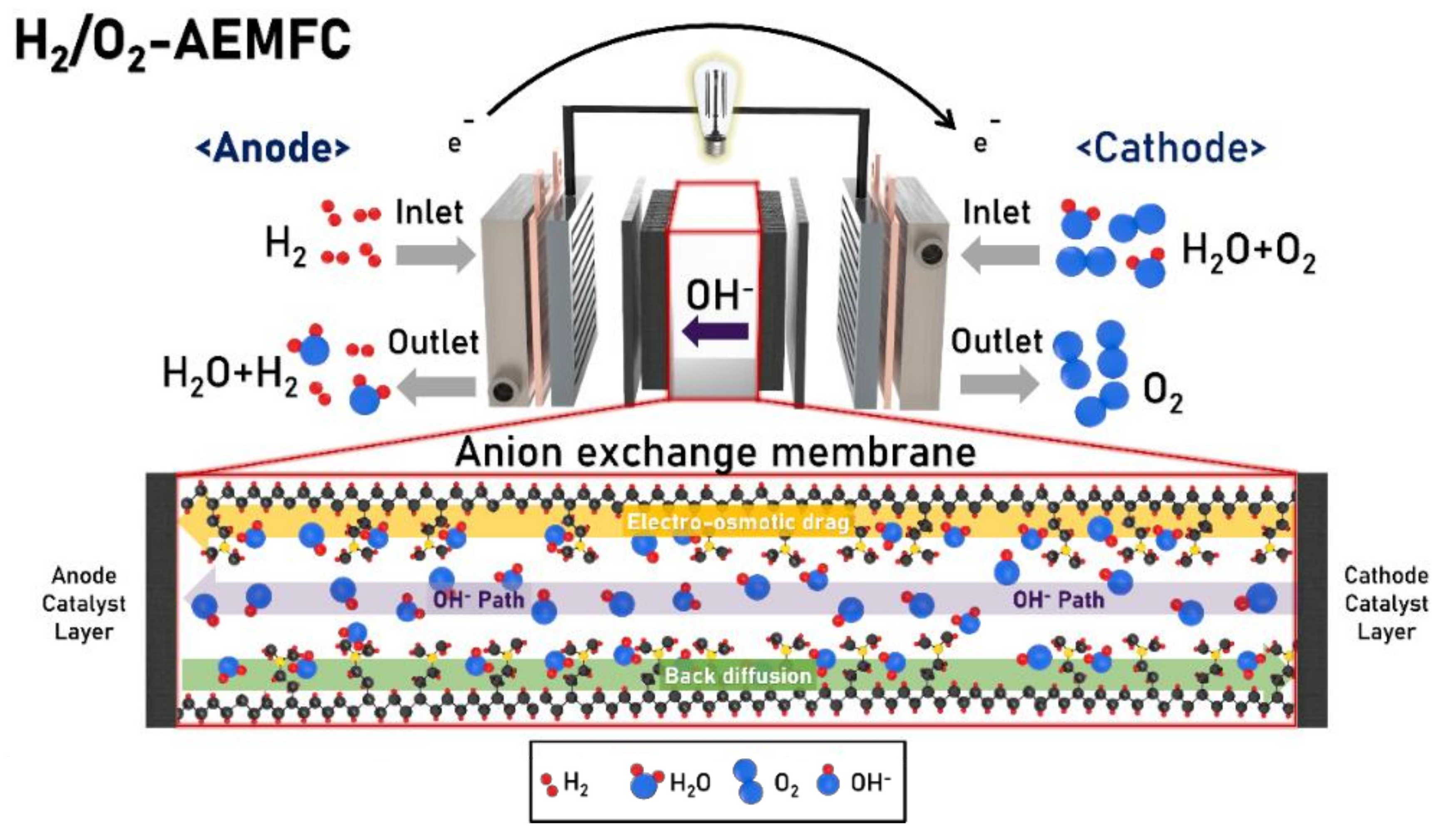 Polymers 14 01197 g002 Polymers 14 01197 g002