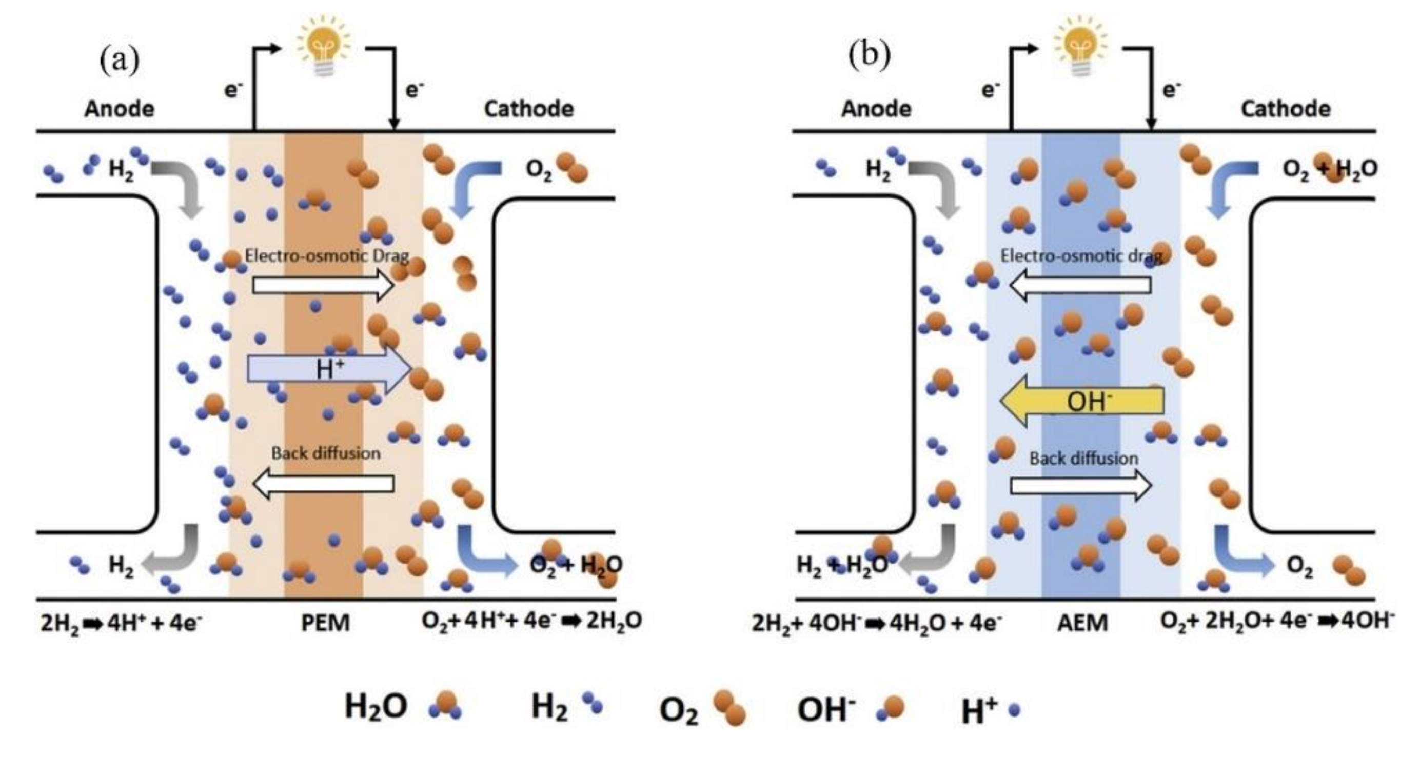 Polymers 14 01197 g004 Polymers 14 01197 g004