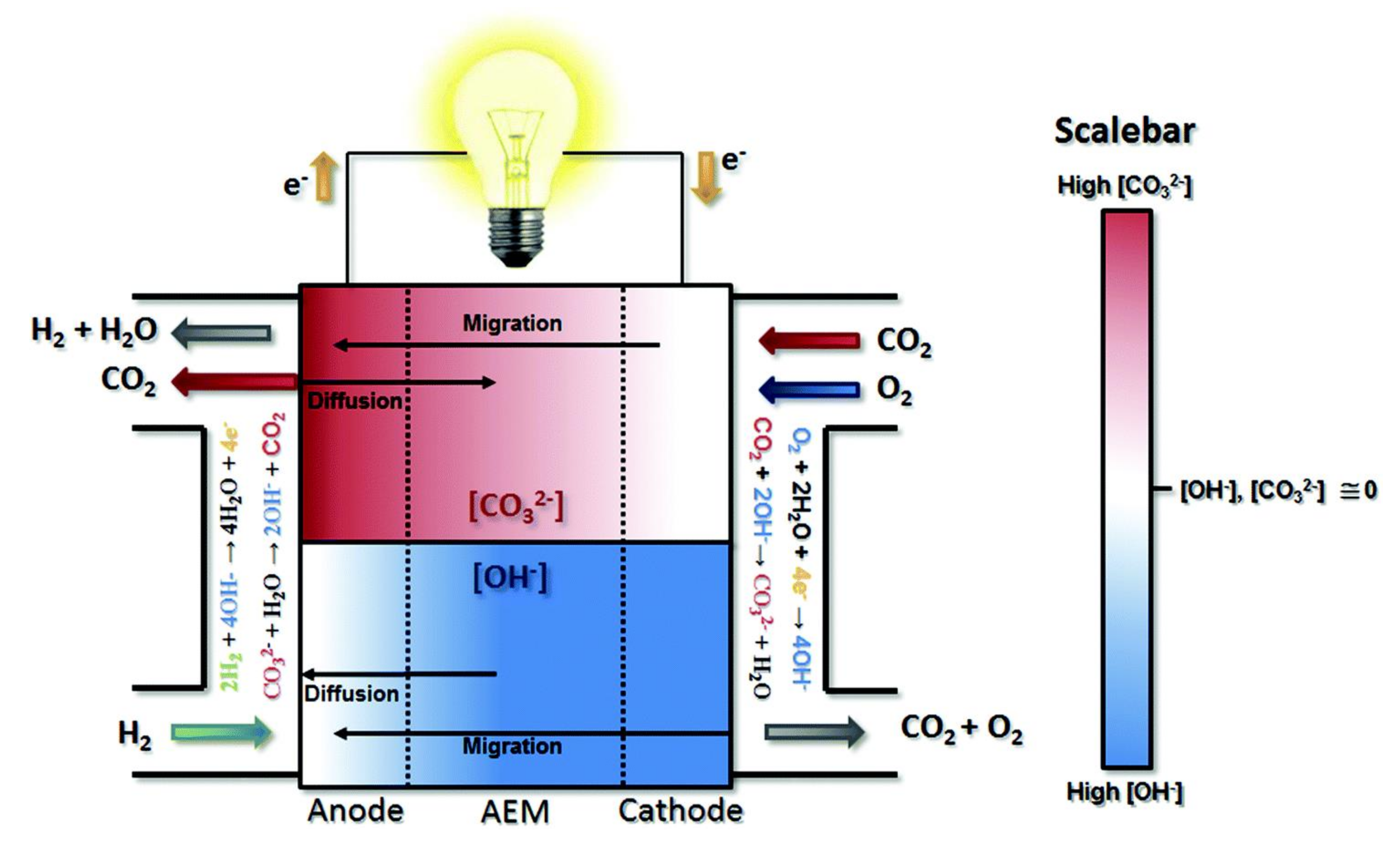 Polymers 14 01197 g005 Polymers 14 01197 g005