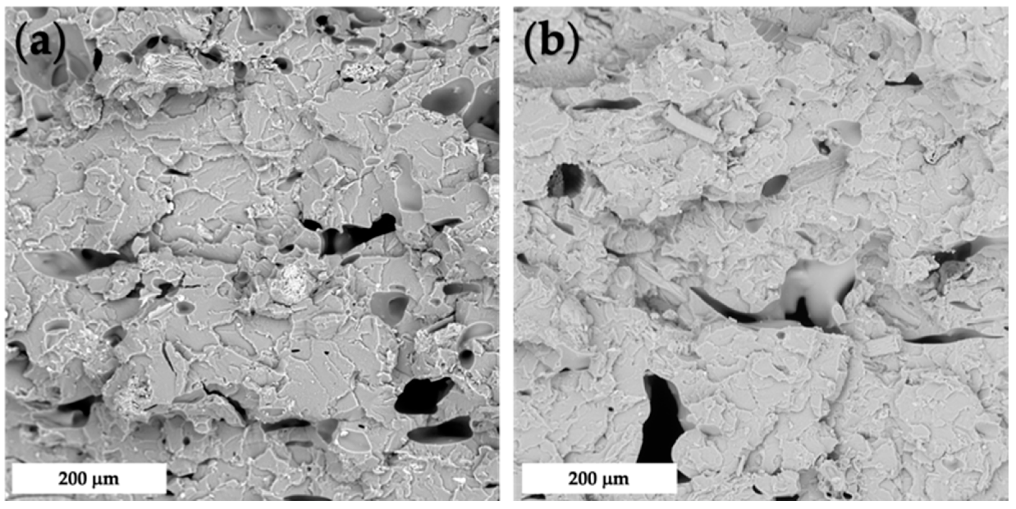 Polymers 14 01198 g005 550