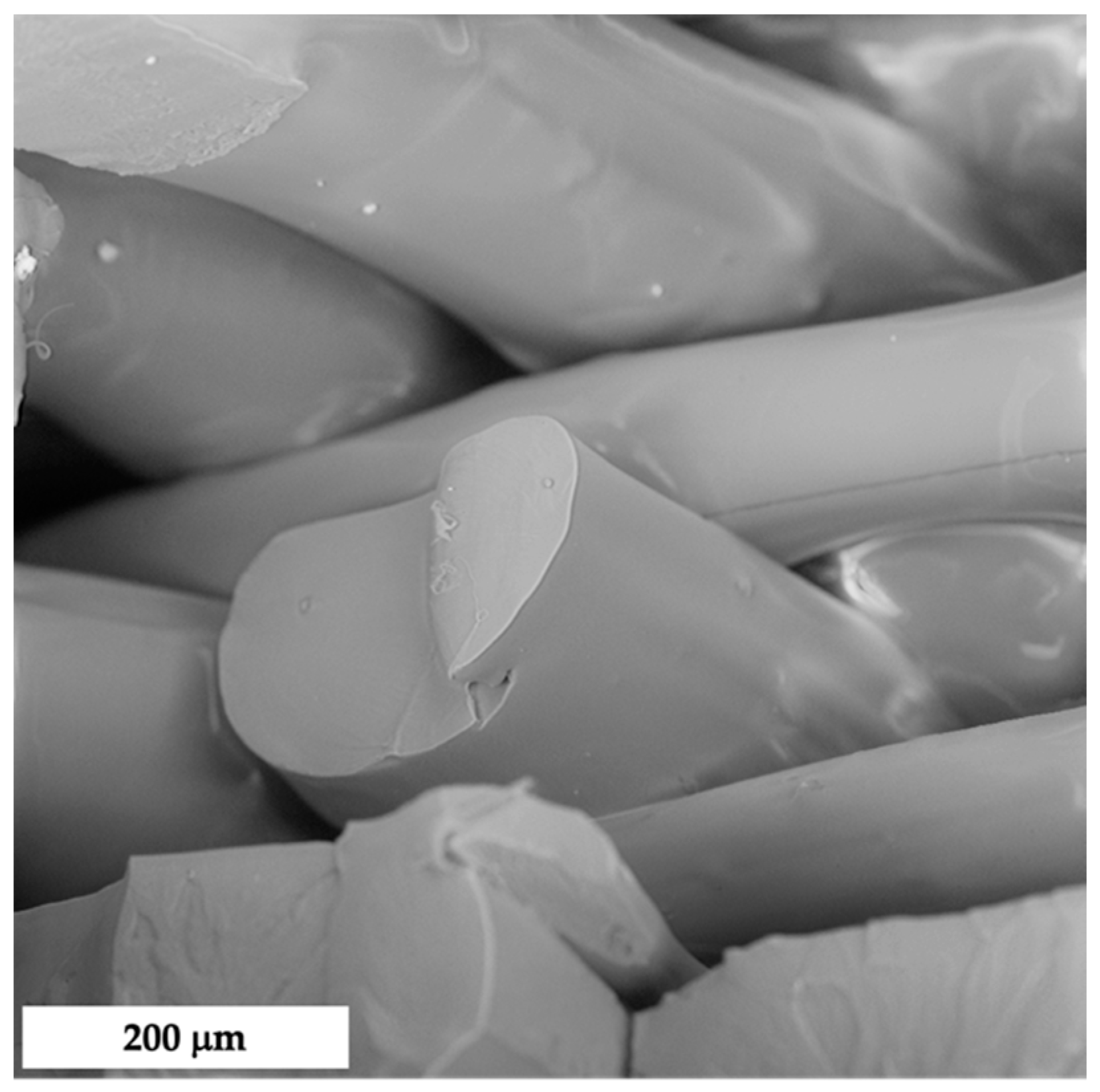 Polymers 14 01198 g006 550