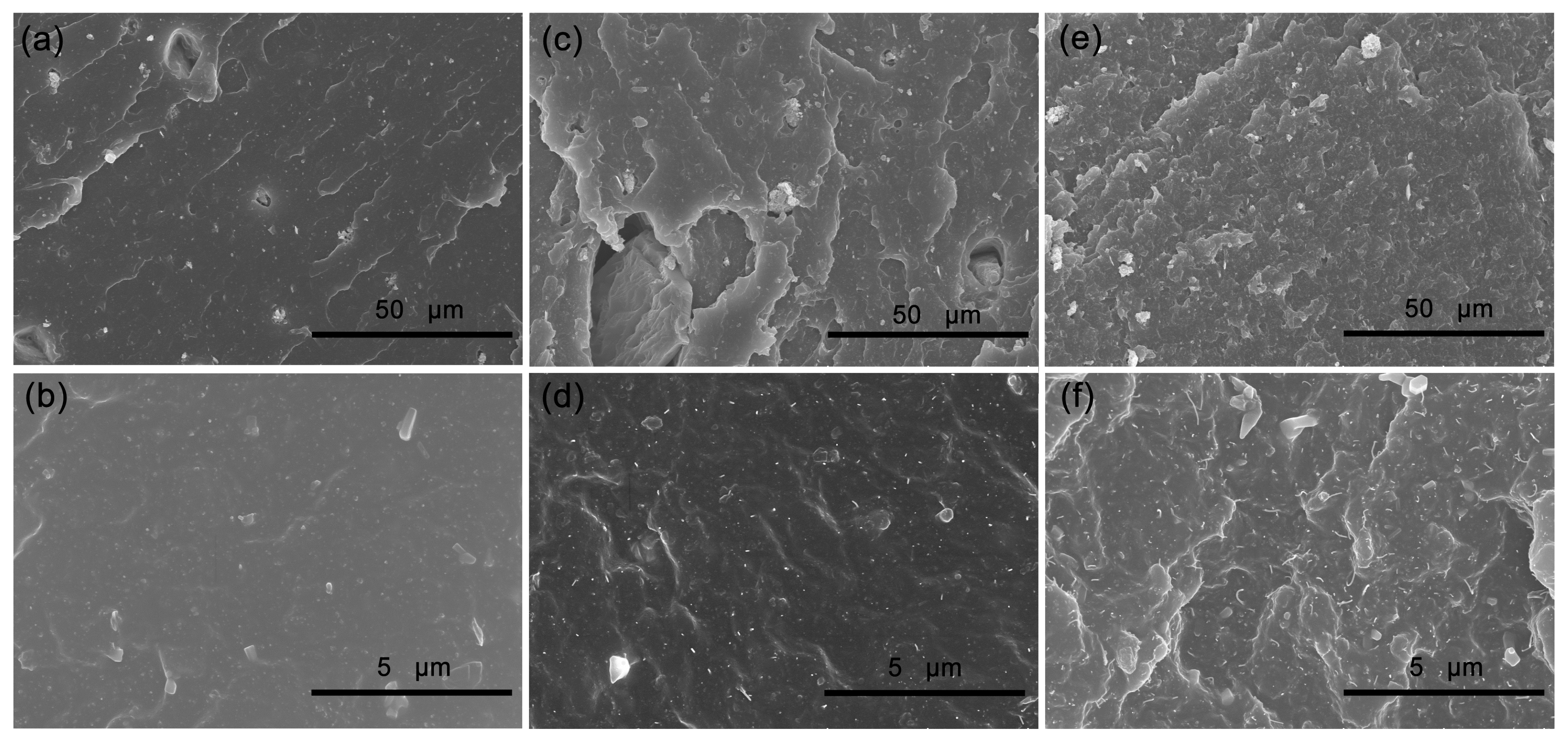 Polymers 14 01205 g002 550