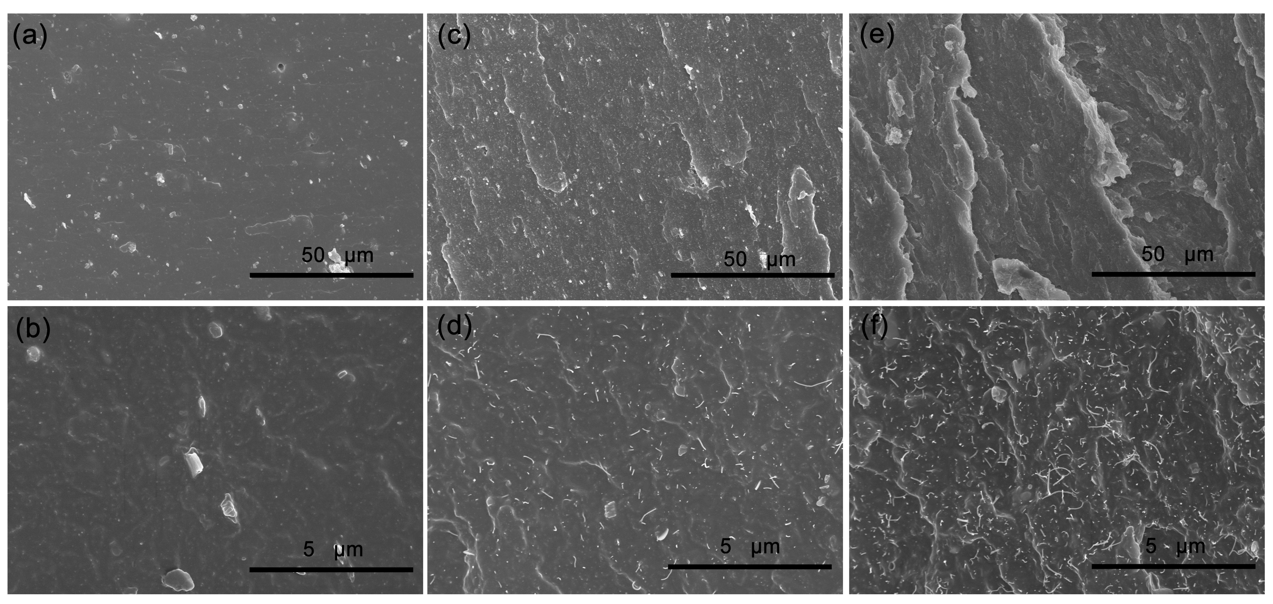 Polymers 14 01205 g006 550