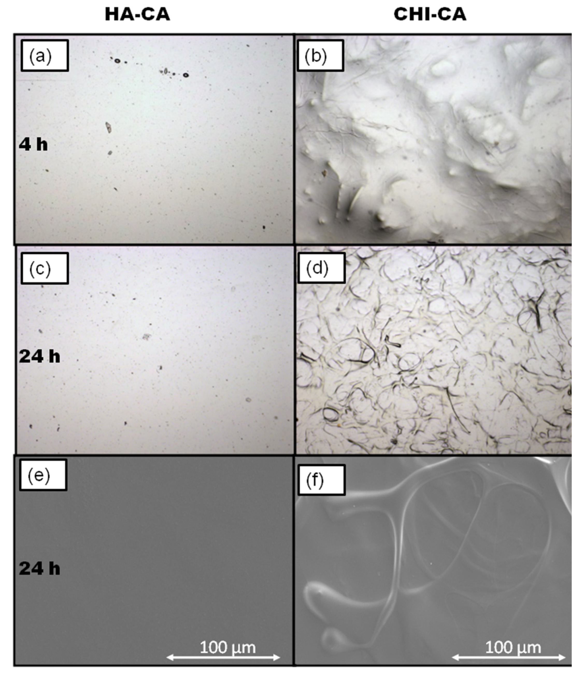 Polymers 14 01209 g011 550