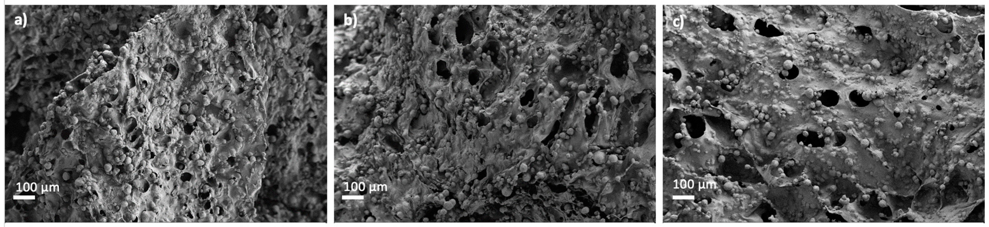 Polymers 14 01211 g007