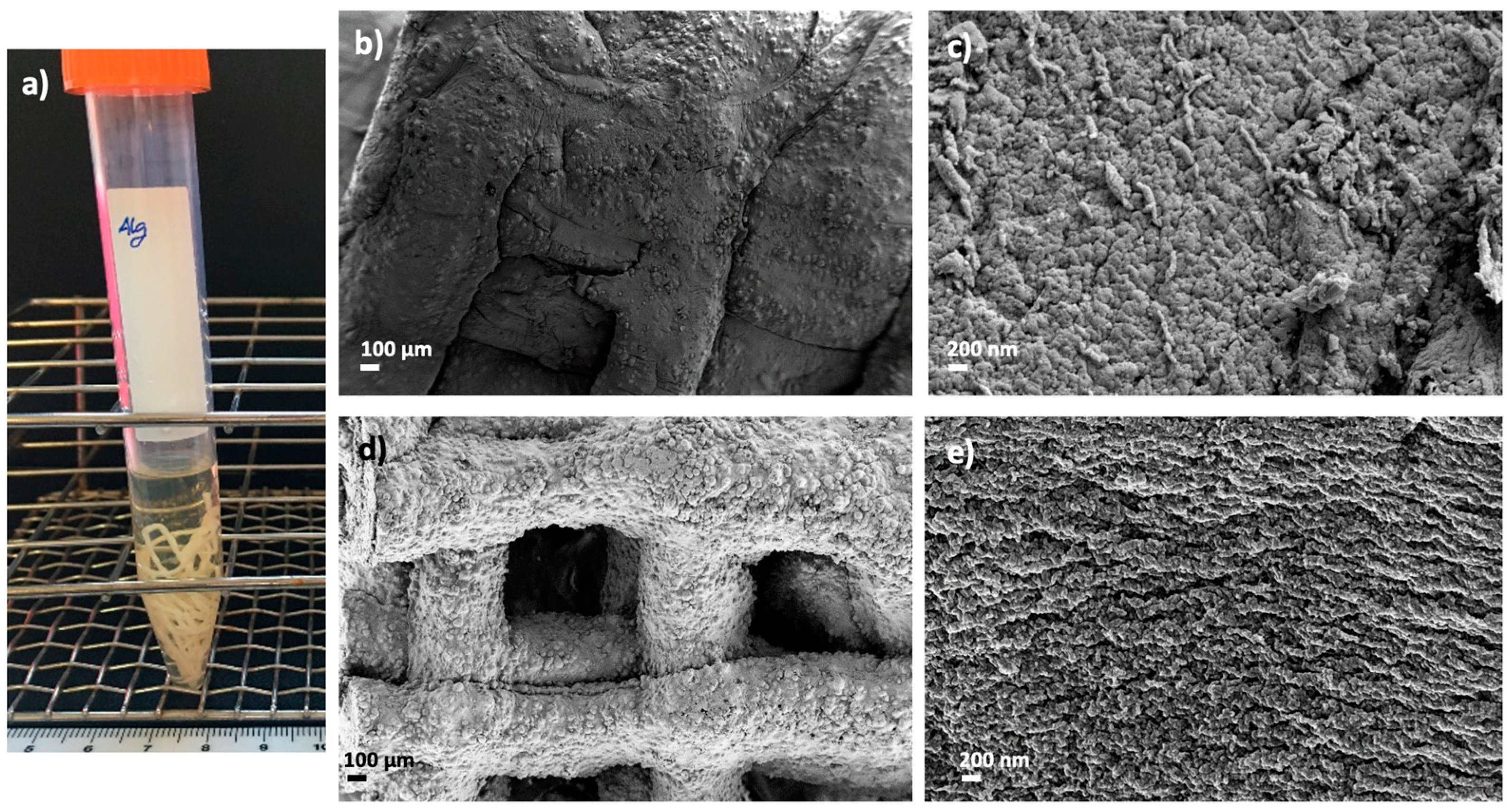 Polymers 14 01211 g009