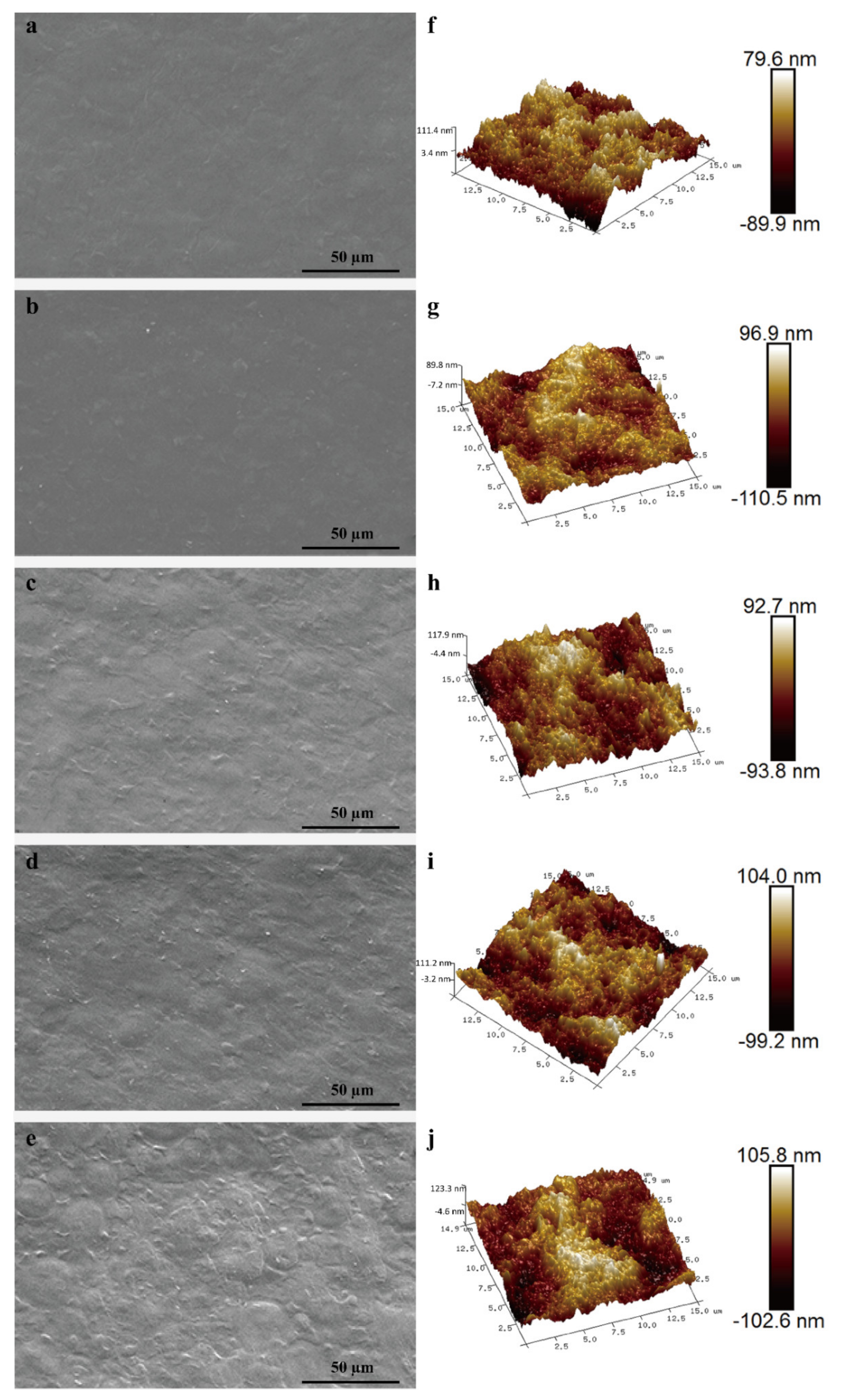 Polymers 14 01214 g001