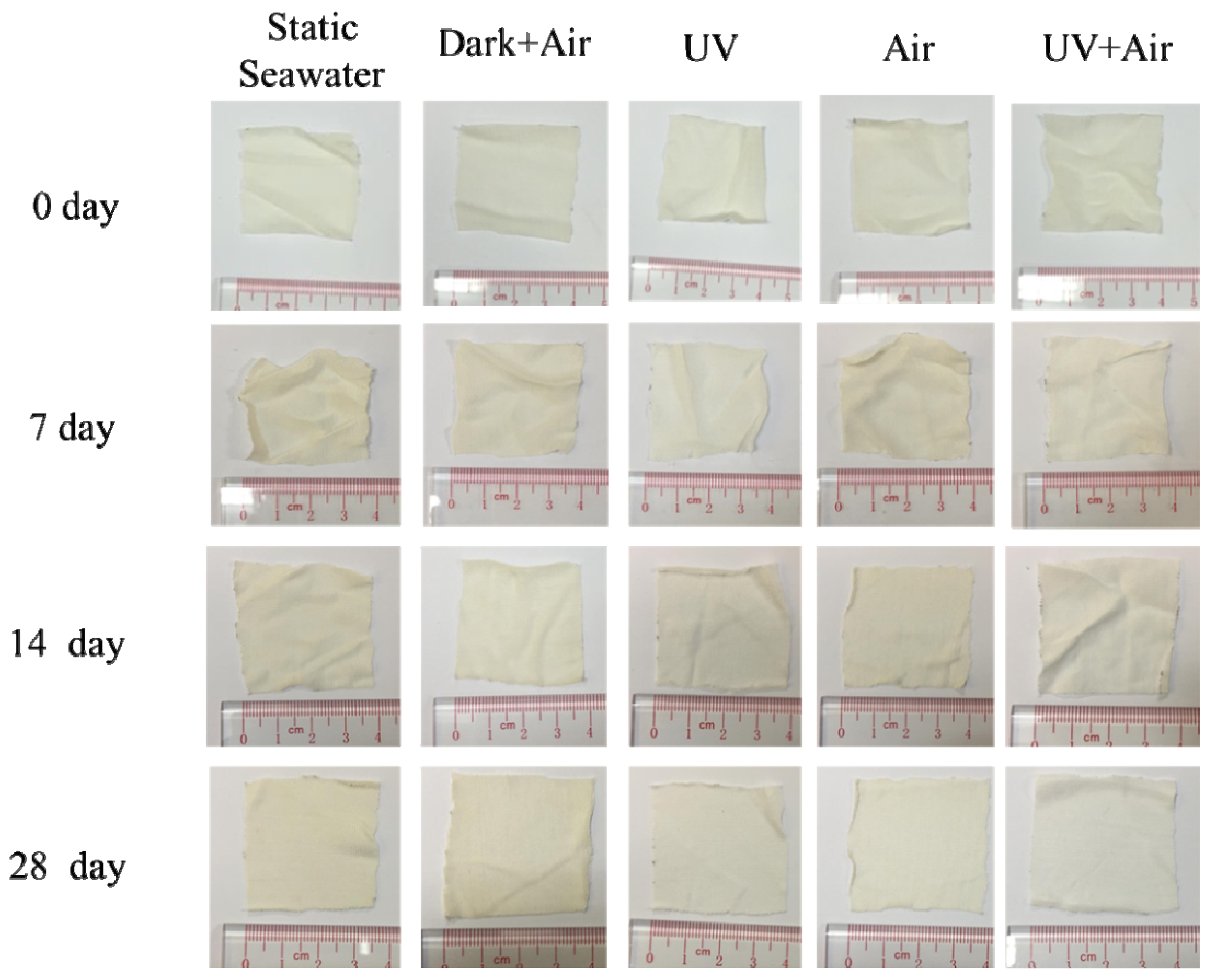 Polymers 14 01216 g004 550