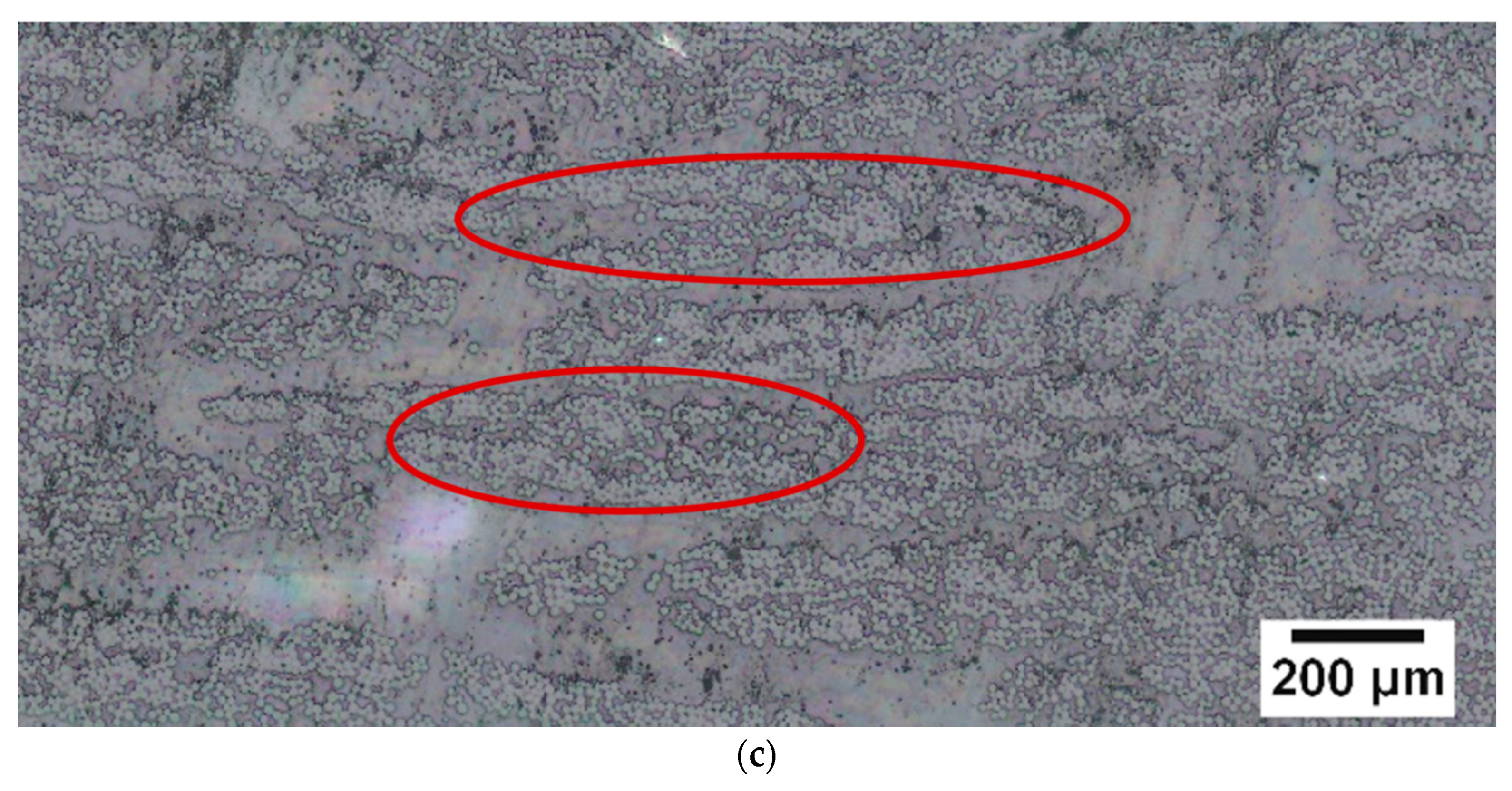 Polymers 14 01220 g003b 550