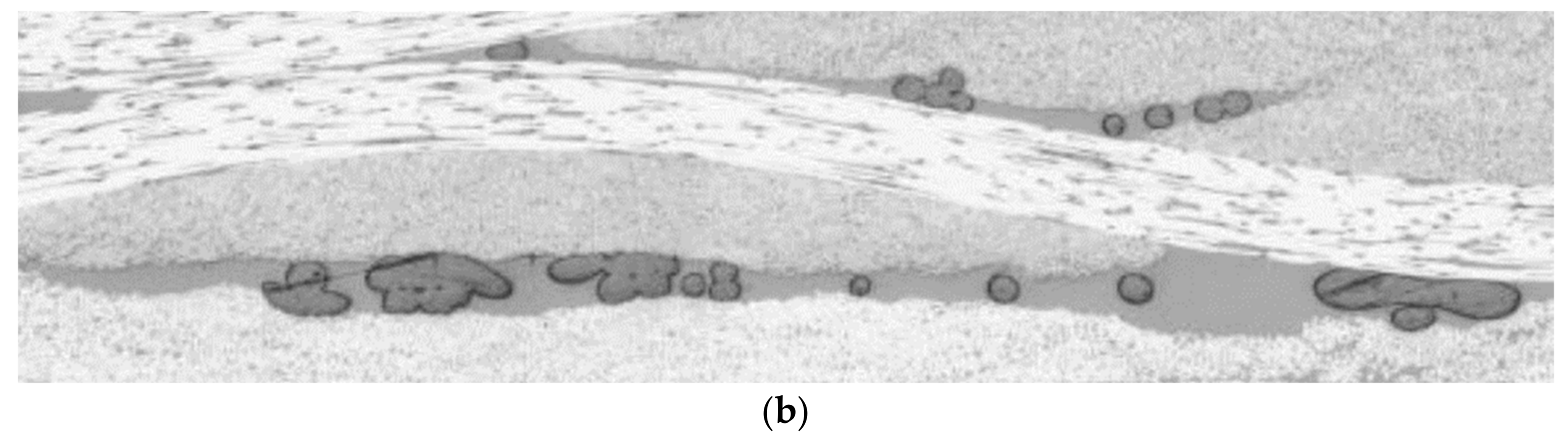 Polymers 14 01223 g010b