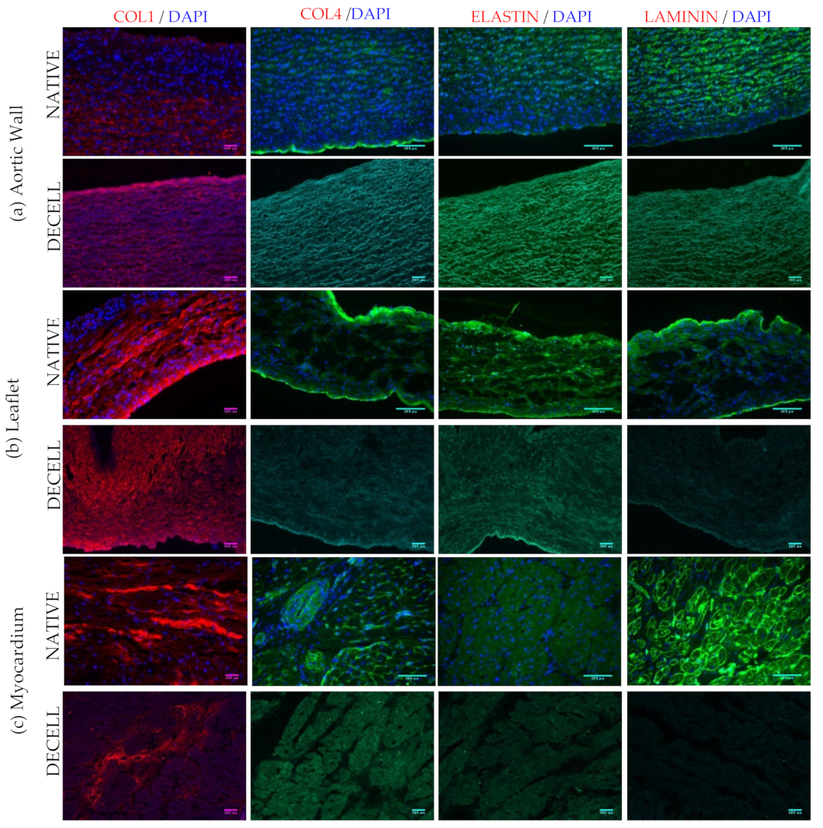 Polymers 14 01226 g005