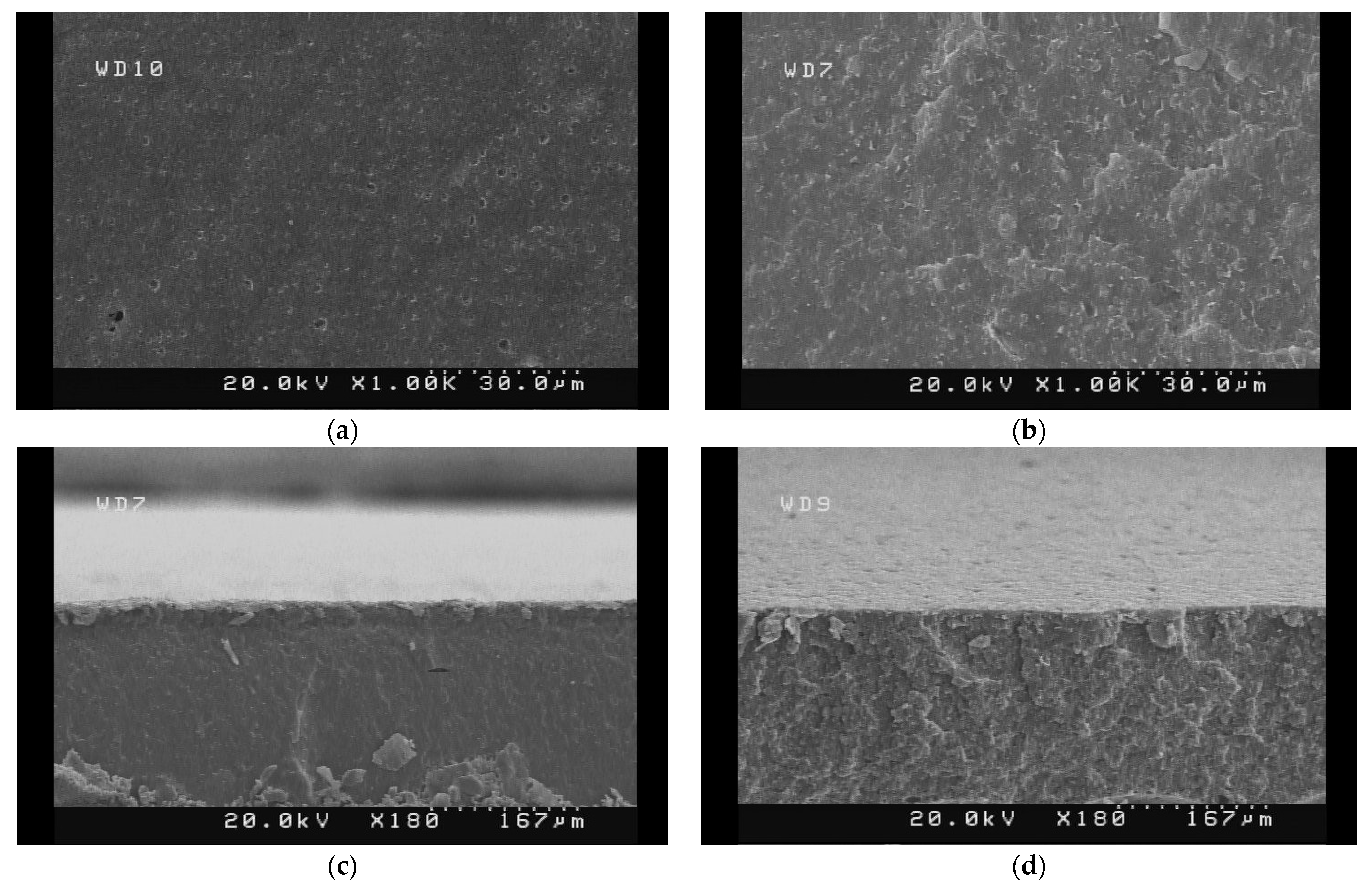 Polymers 14 01227 g005a 550