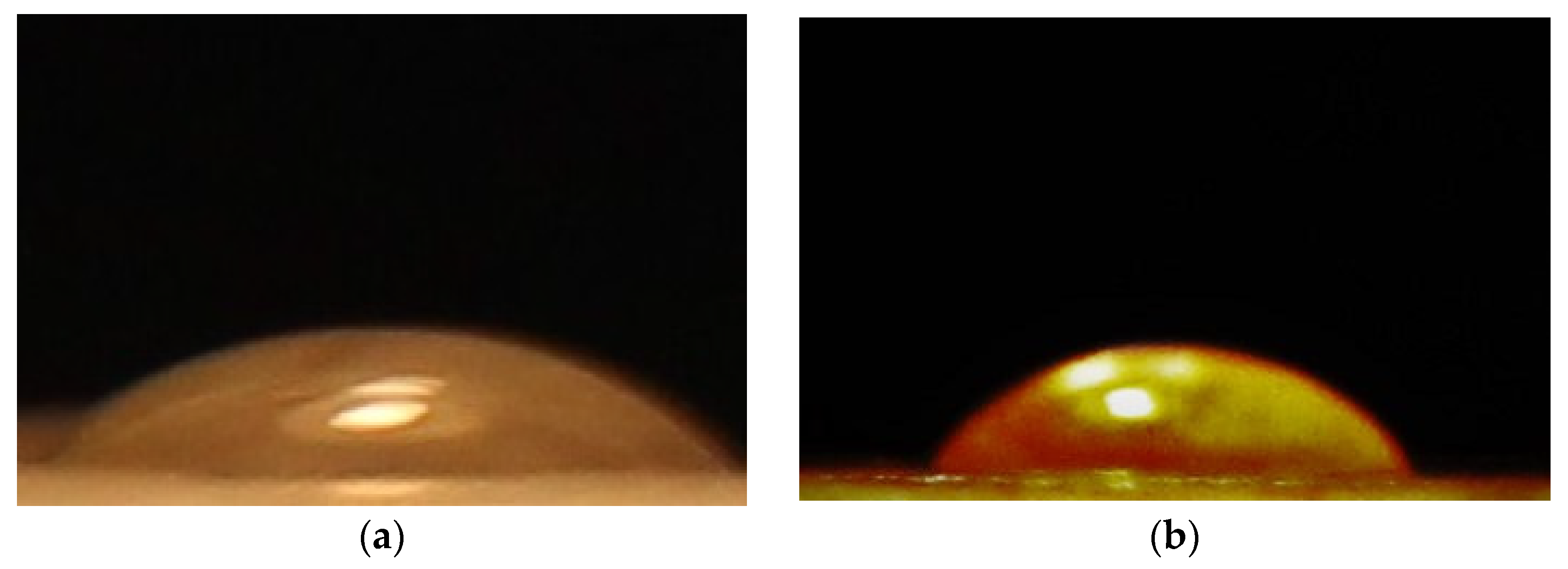 Polymers 14 01227 g006 550