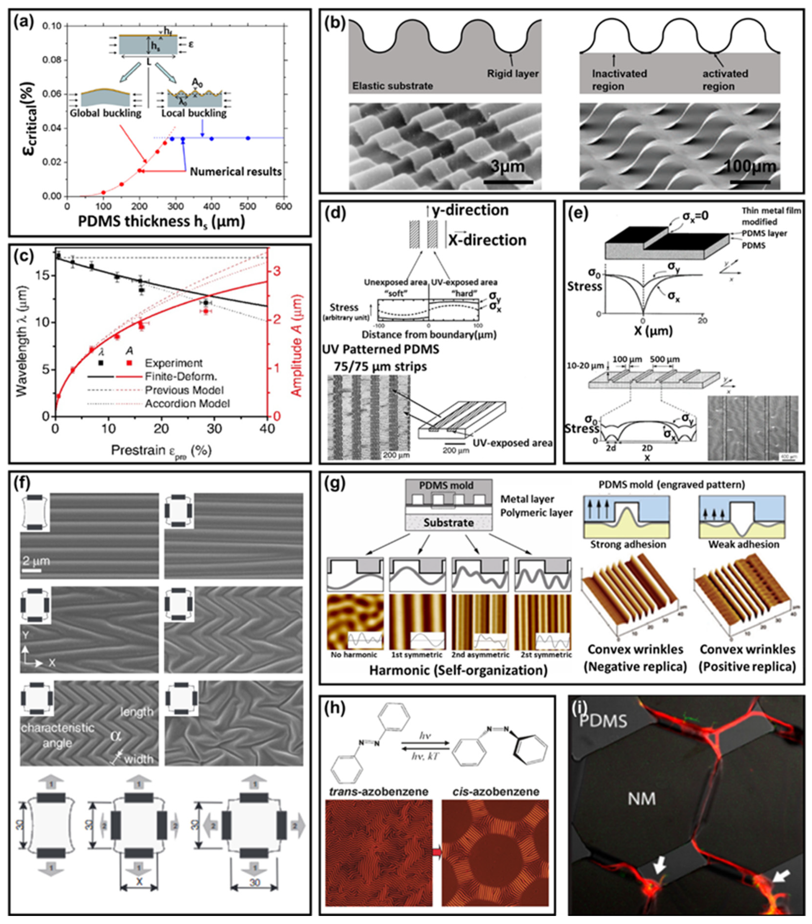Polymers 14 01232 g002 Polymers 14 01232 g002