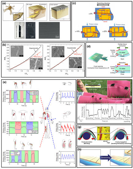 Flexible Sensory Systems: Structural Approaches
