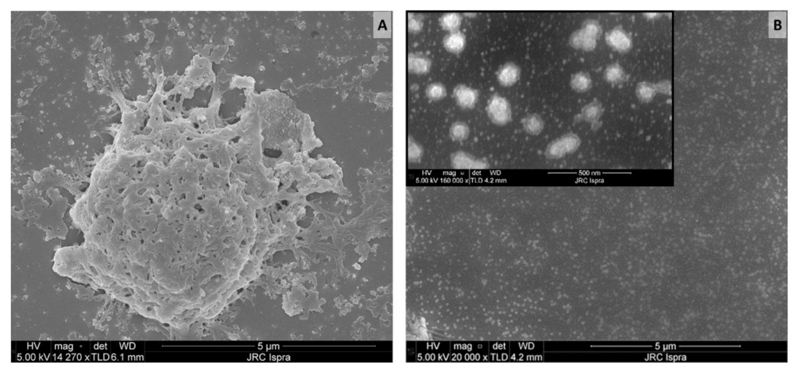 Polymers 14 01238 g002 550