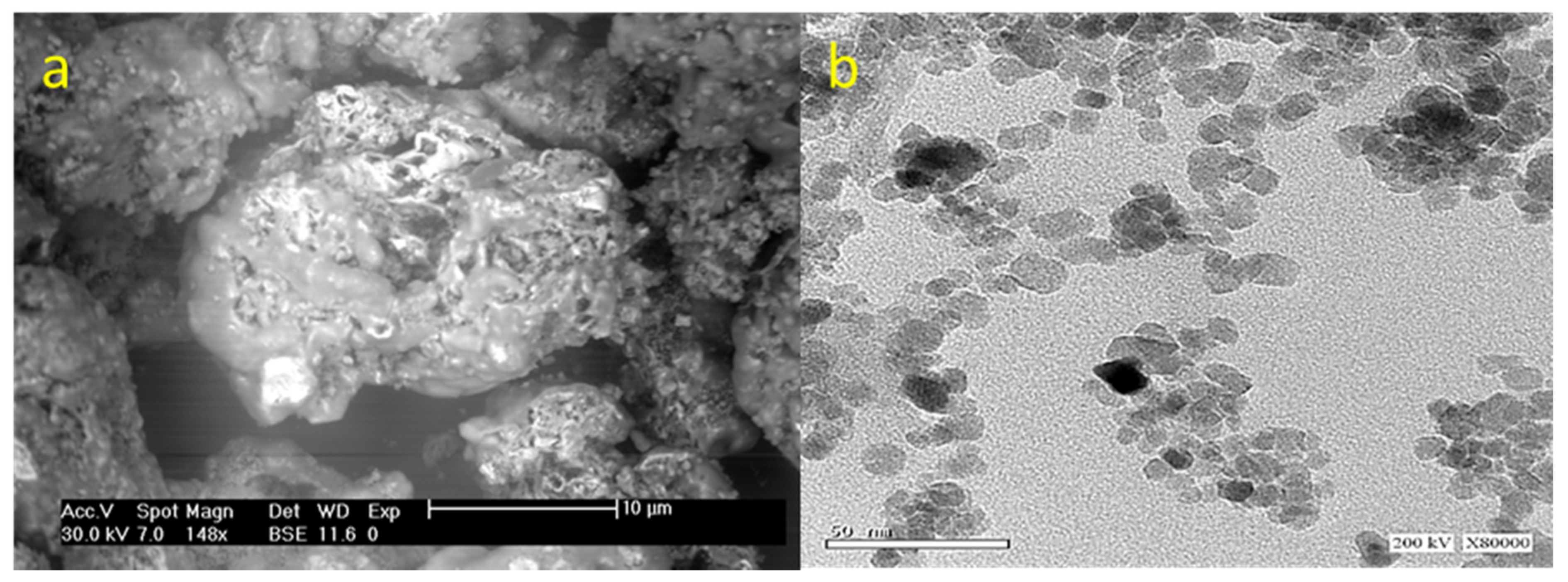 Polymers 14 01240 g001