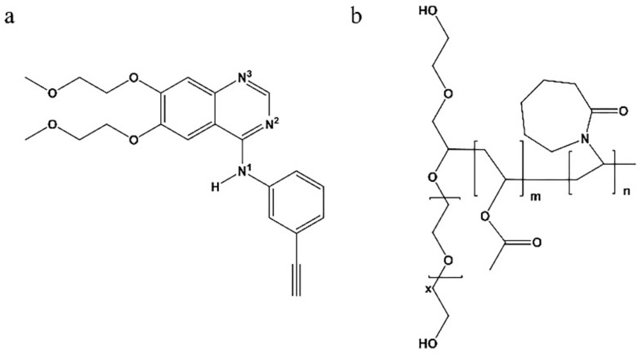 Polymers 14 01241 g001