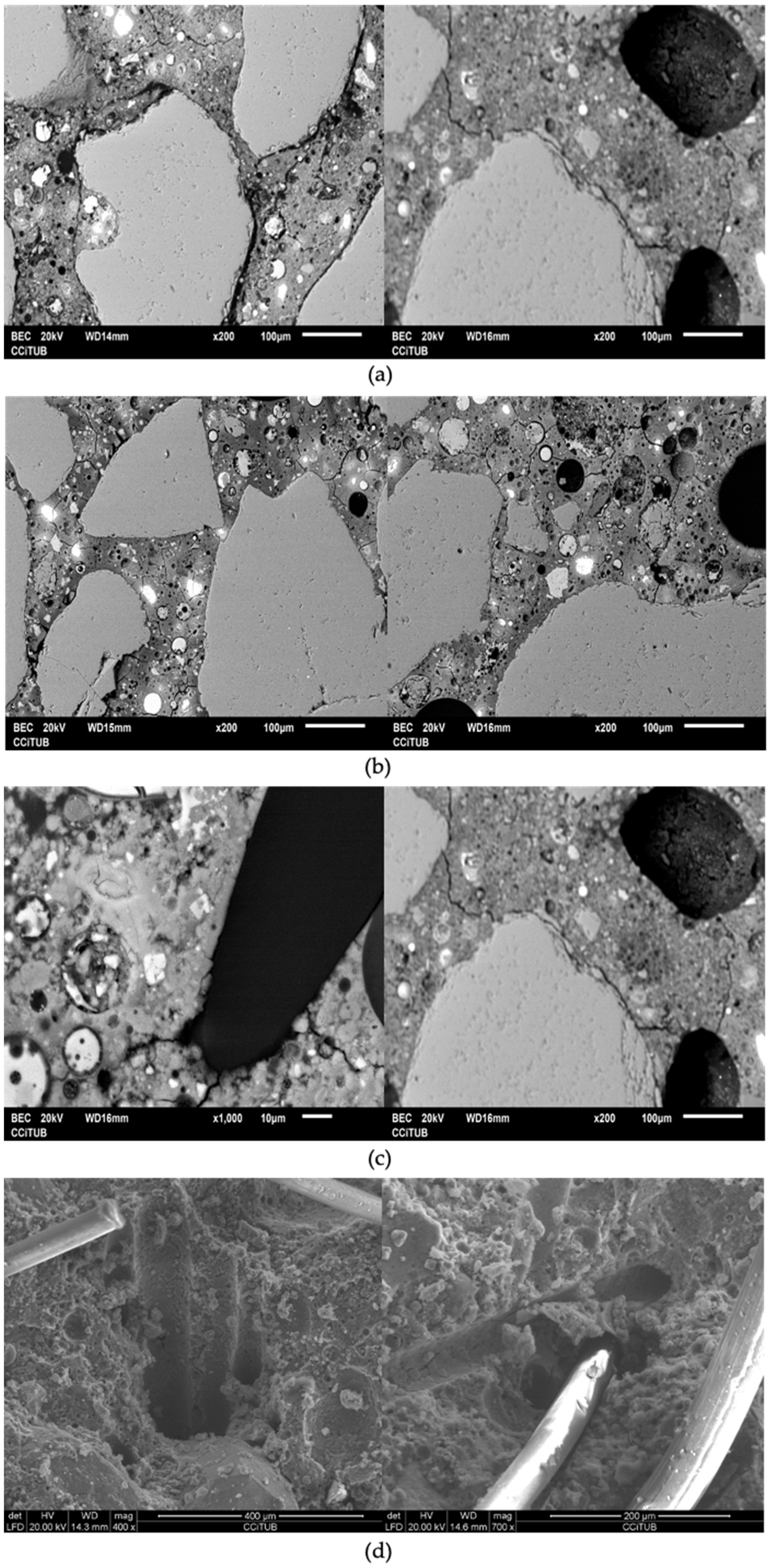 Polymers 14 01248 g008