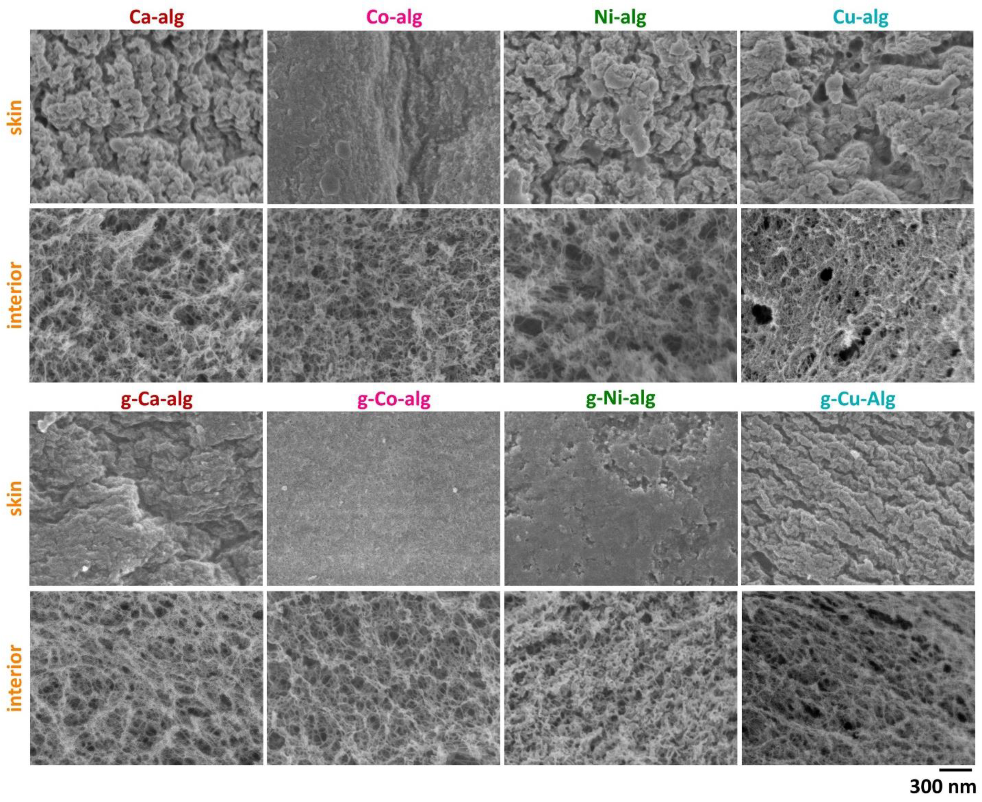 Polymers 14 01254 g006