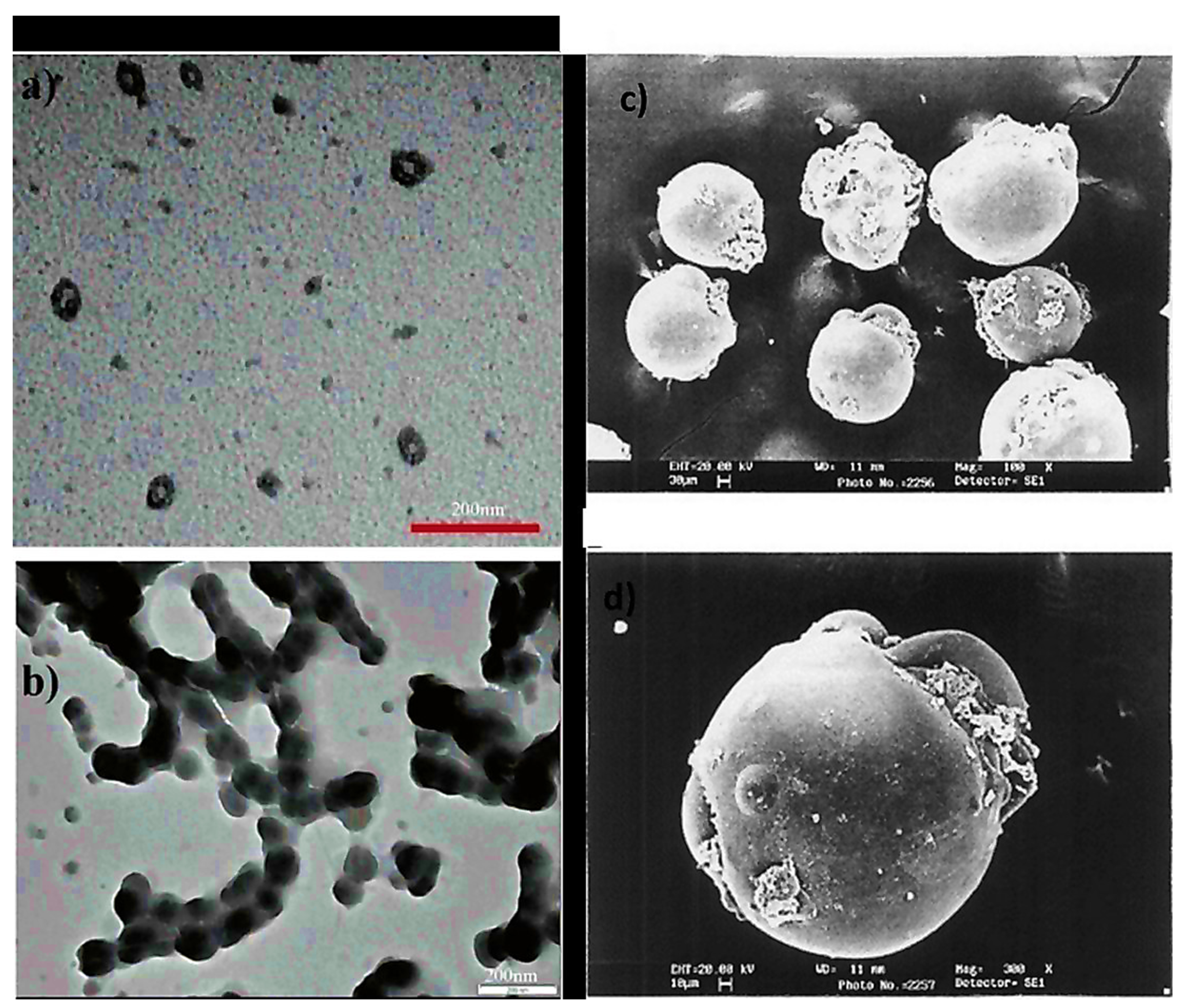 Polymers 14 01259 g006