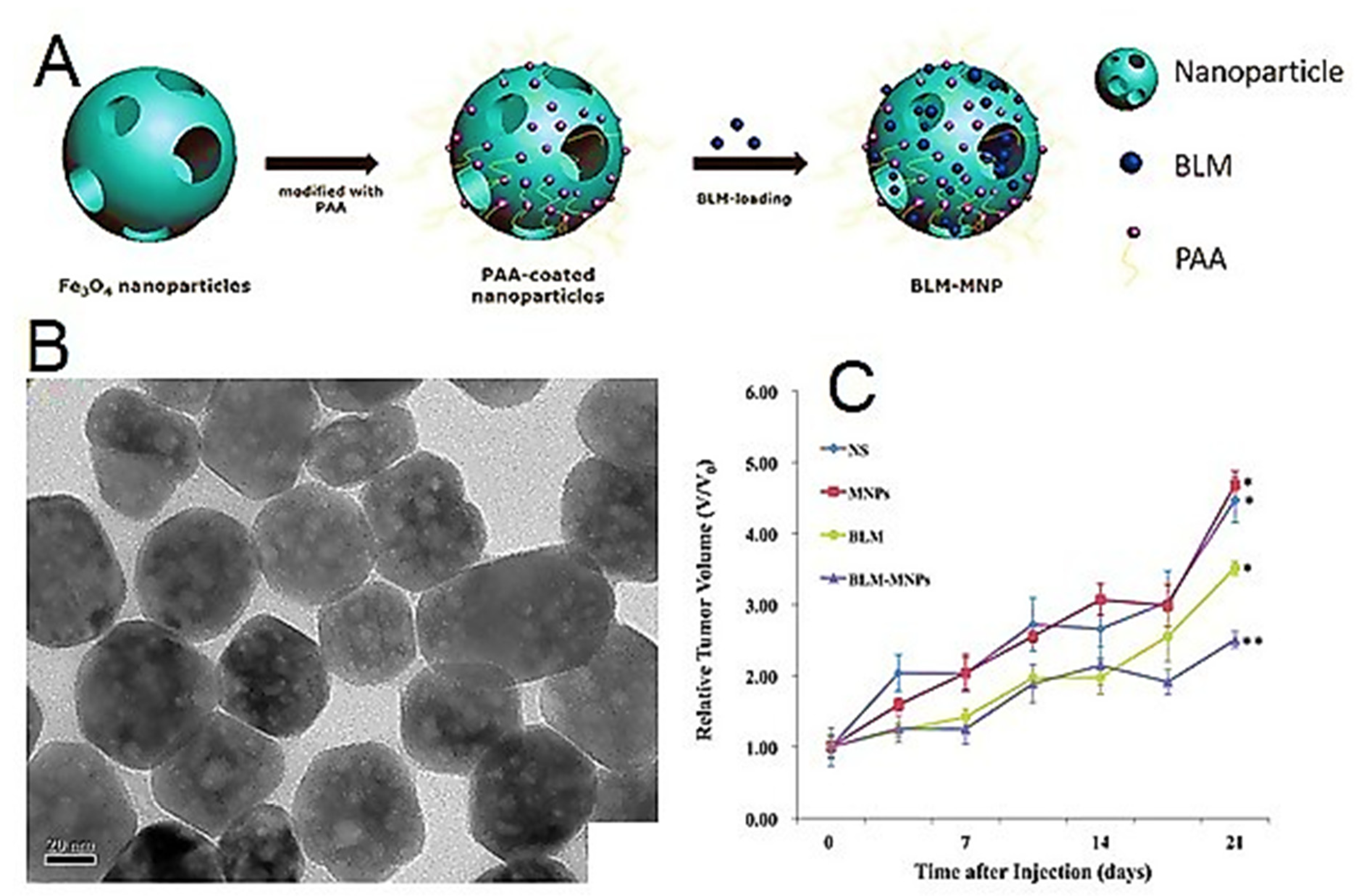 Polymers 14 01259 g007