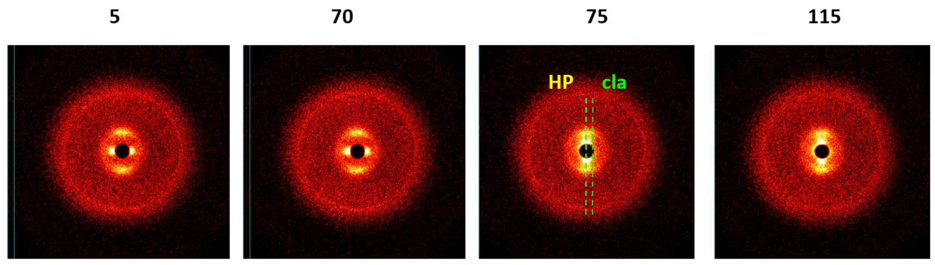 Polymers 14 01262 g019