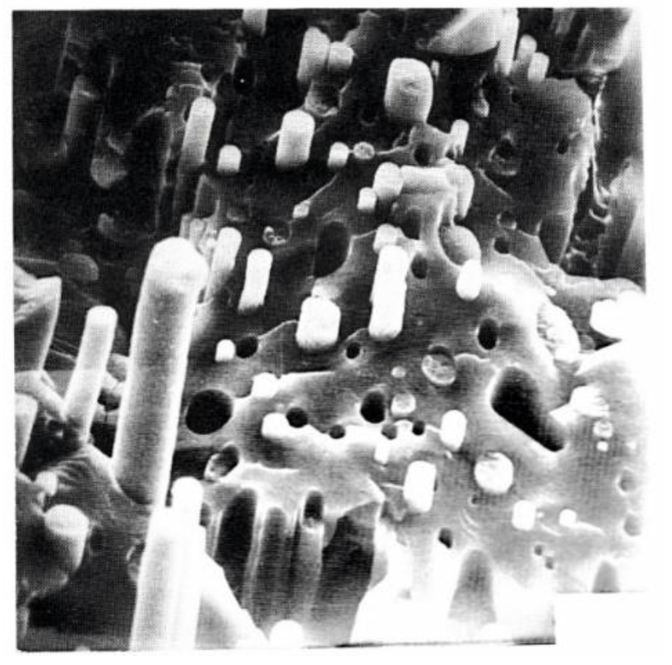 Polymers 14 01262 g026