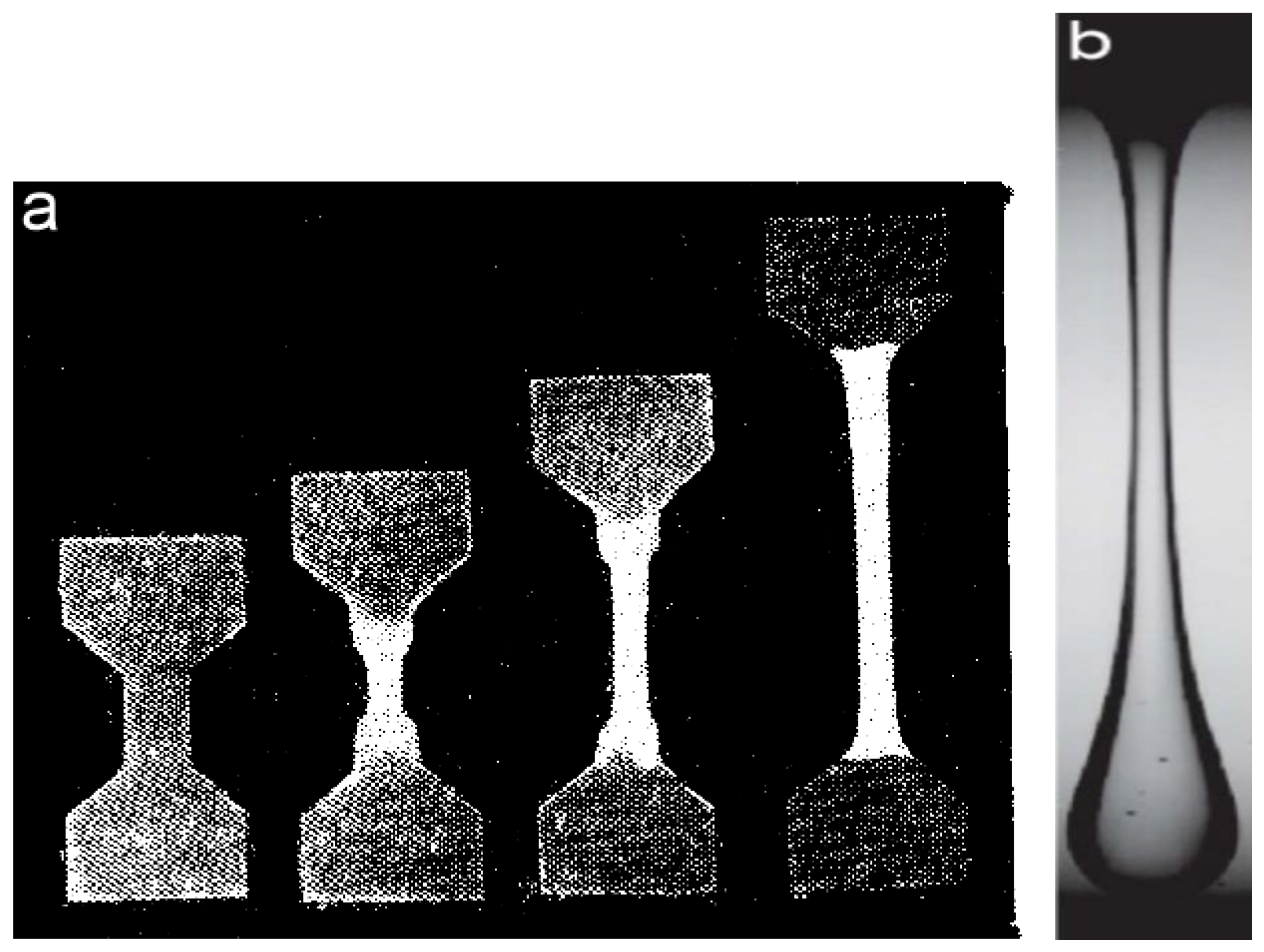 Polymers 14 01262 g031