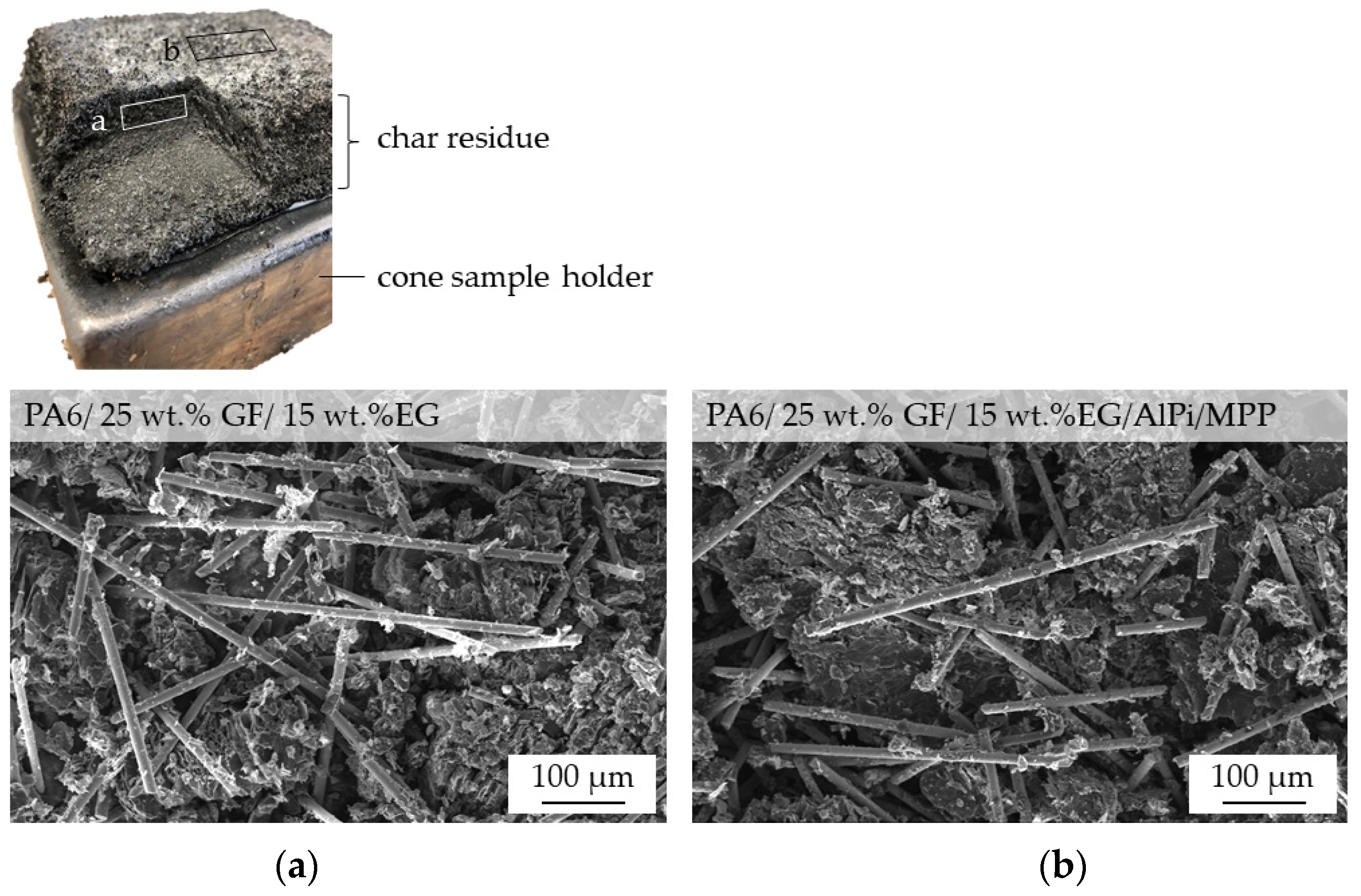 Polymers 14 01263 g010