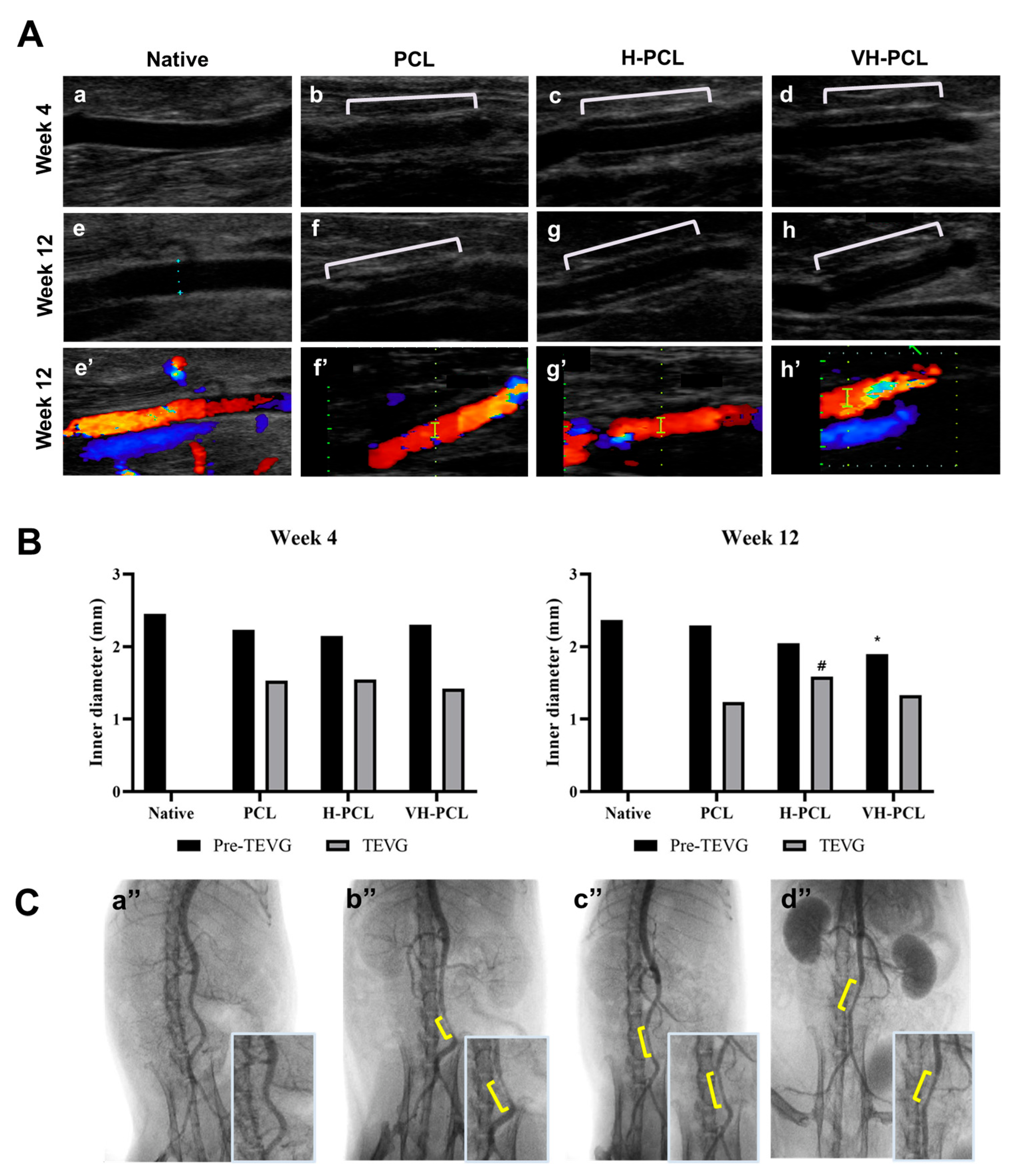 Polymers 14 01265 g005