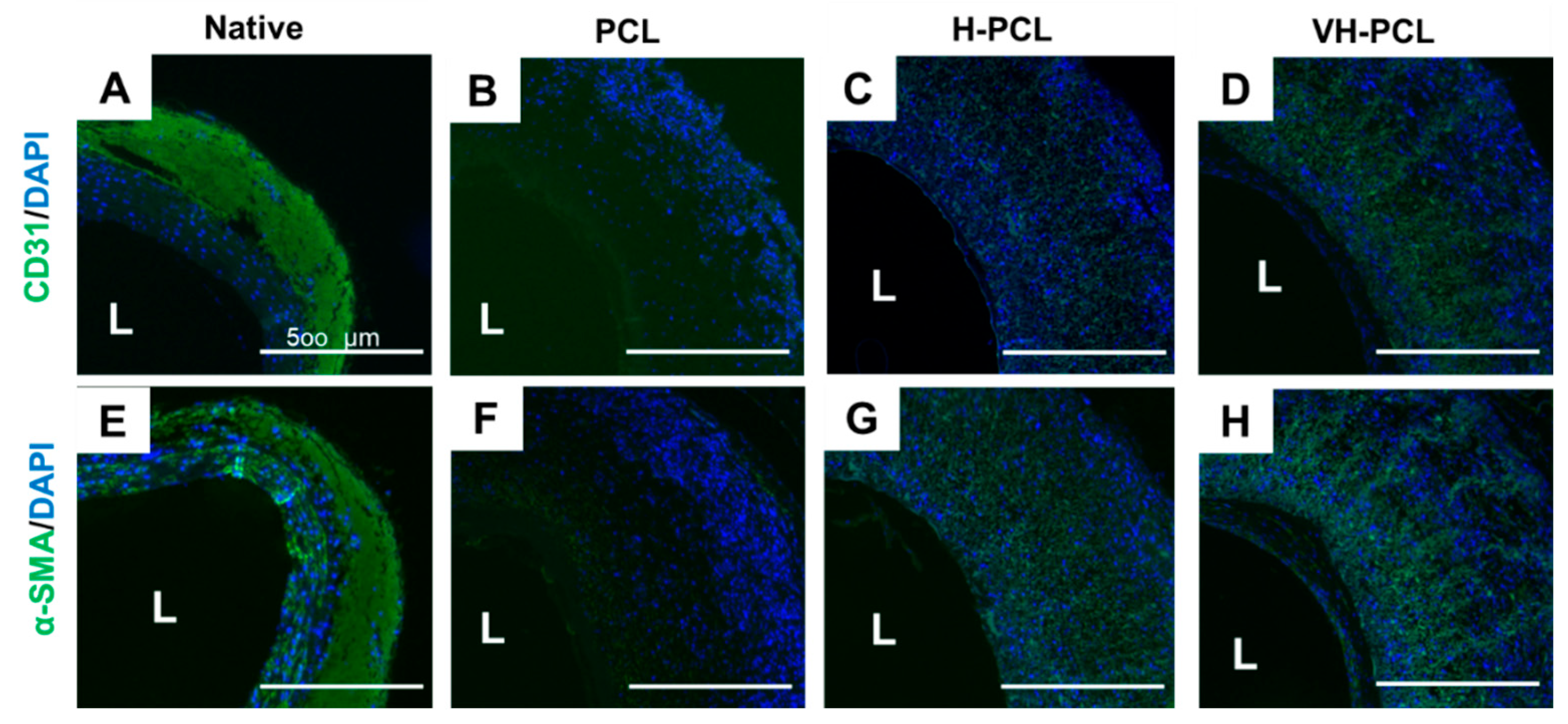 Polymers 14 01265 g008