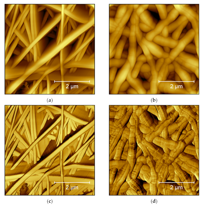 Polymers 14 01267 g004