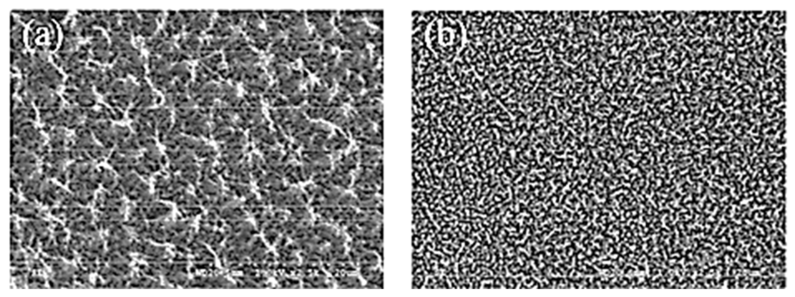 Polymers 14 01269 g026