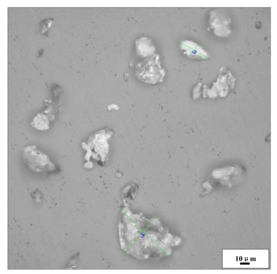 A Density-Dependent Modified Doraivelu Model for the Cold