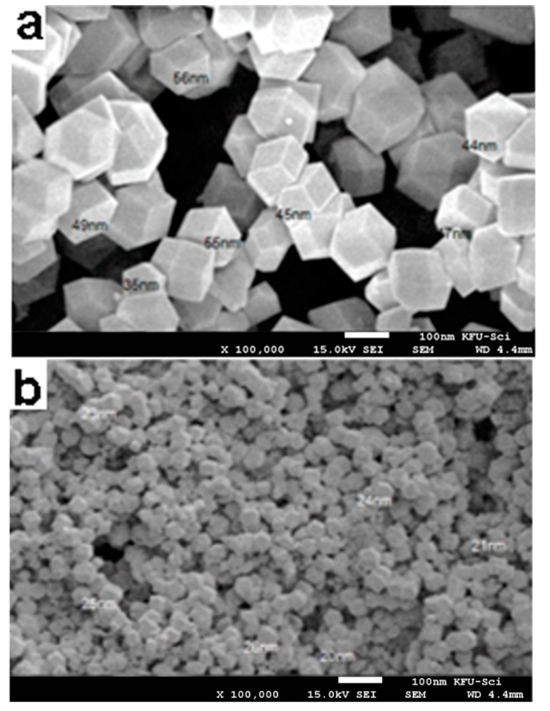 Polymers 14 01276 g001 Polymers 14 01276 g001