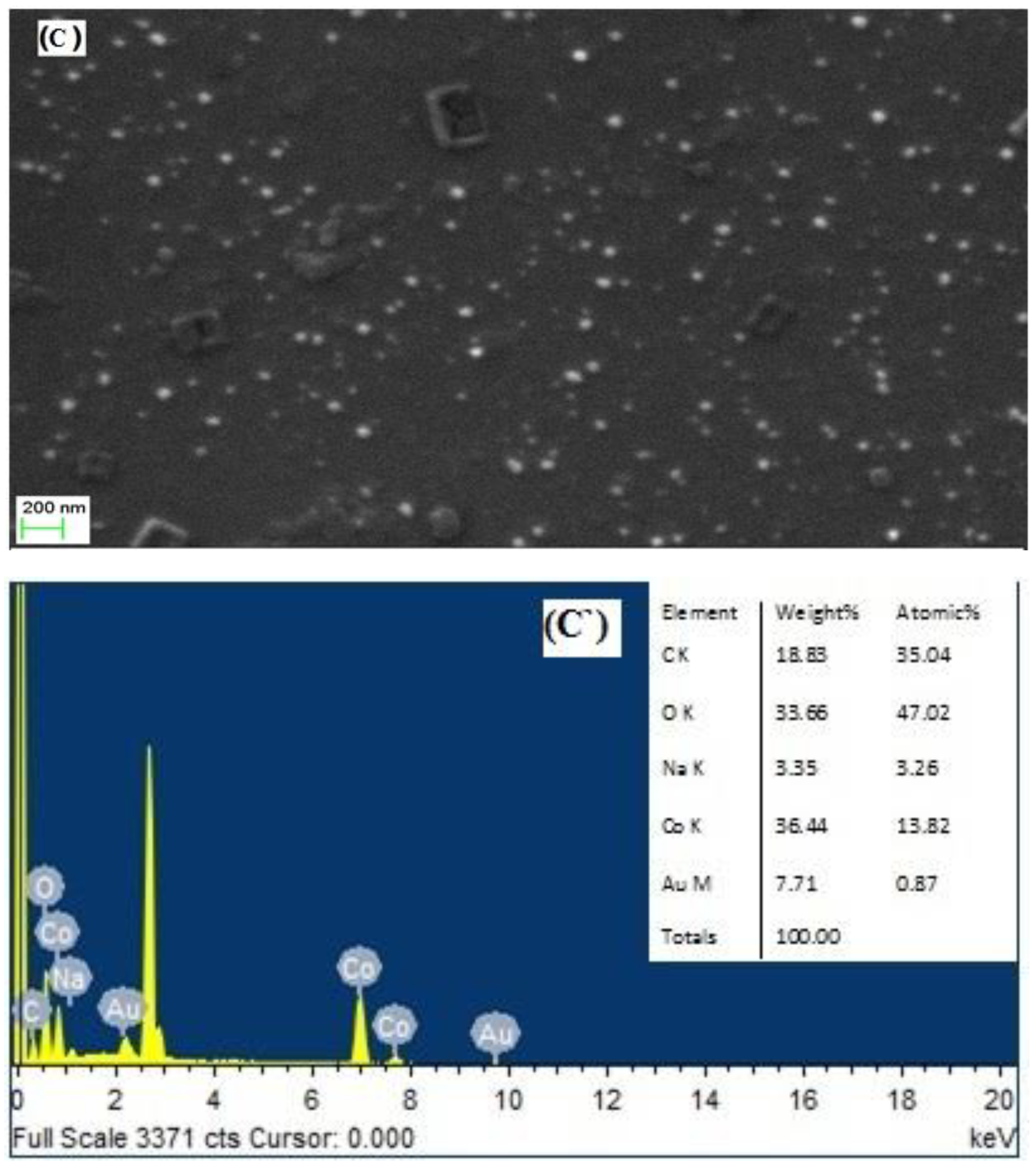 Polymers 14 01277 g004c Polymers 14 01277 g004c