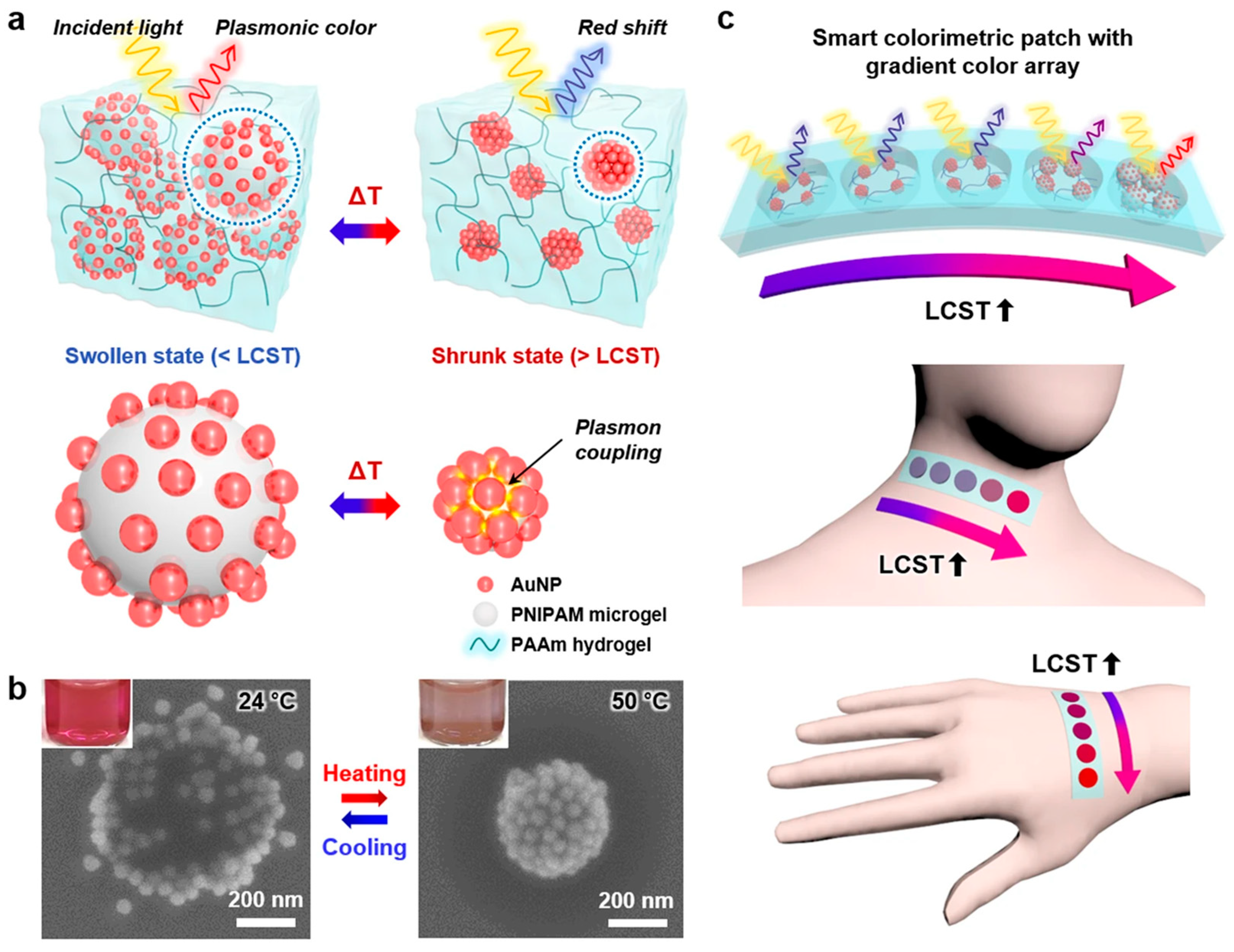 Polymers 14 01279 g002