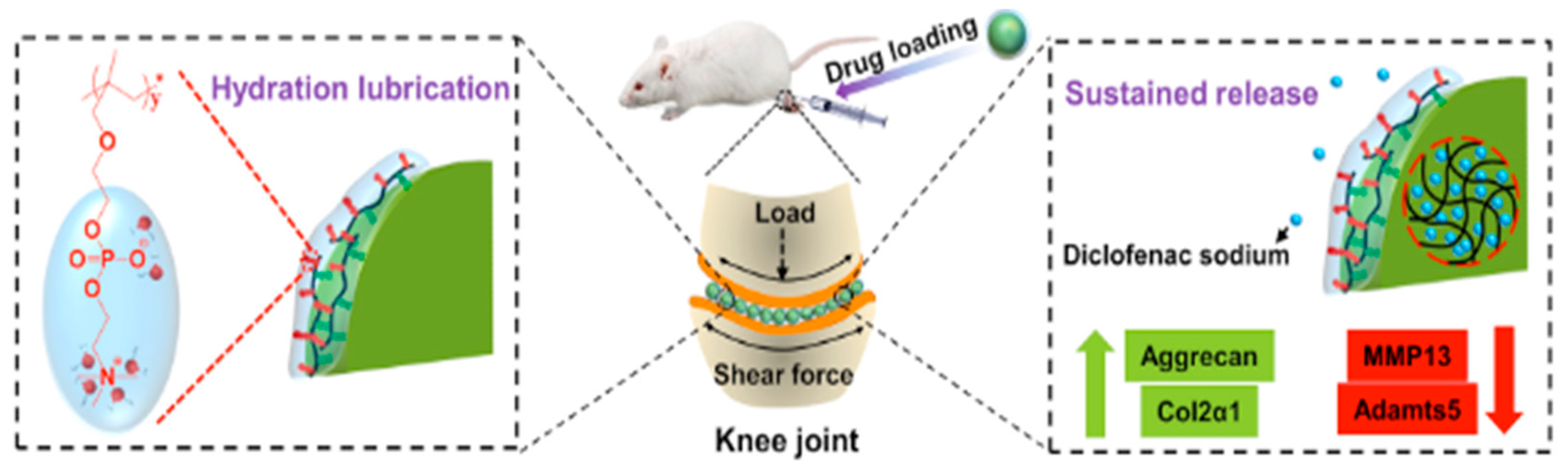 Polymers 14 01279 g003