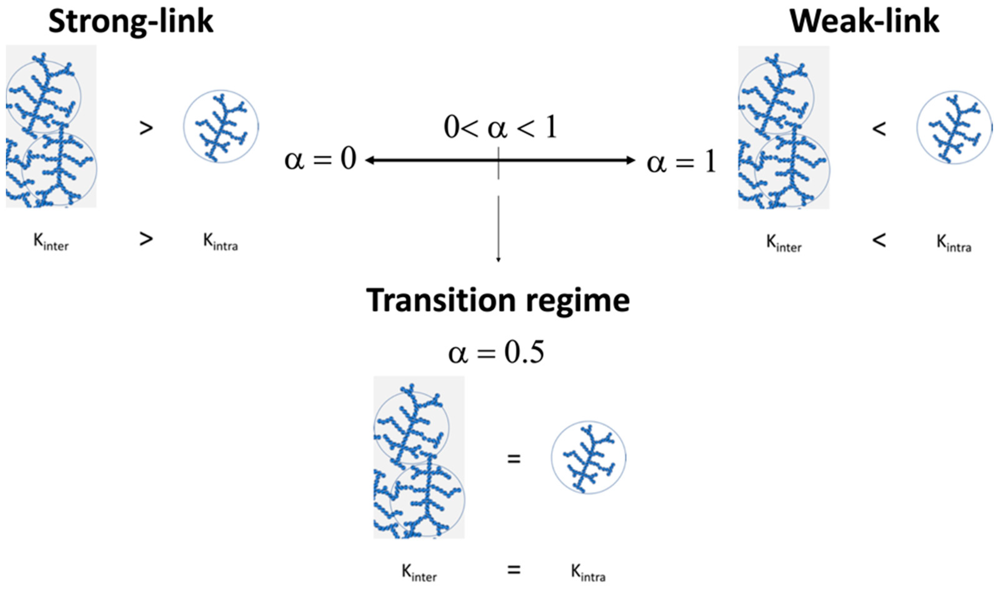 Polymers 14 01279 sch004