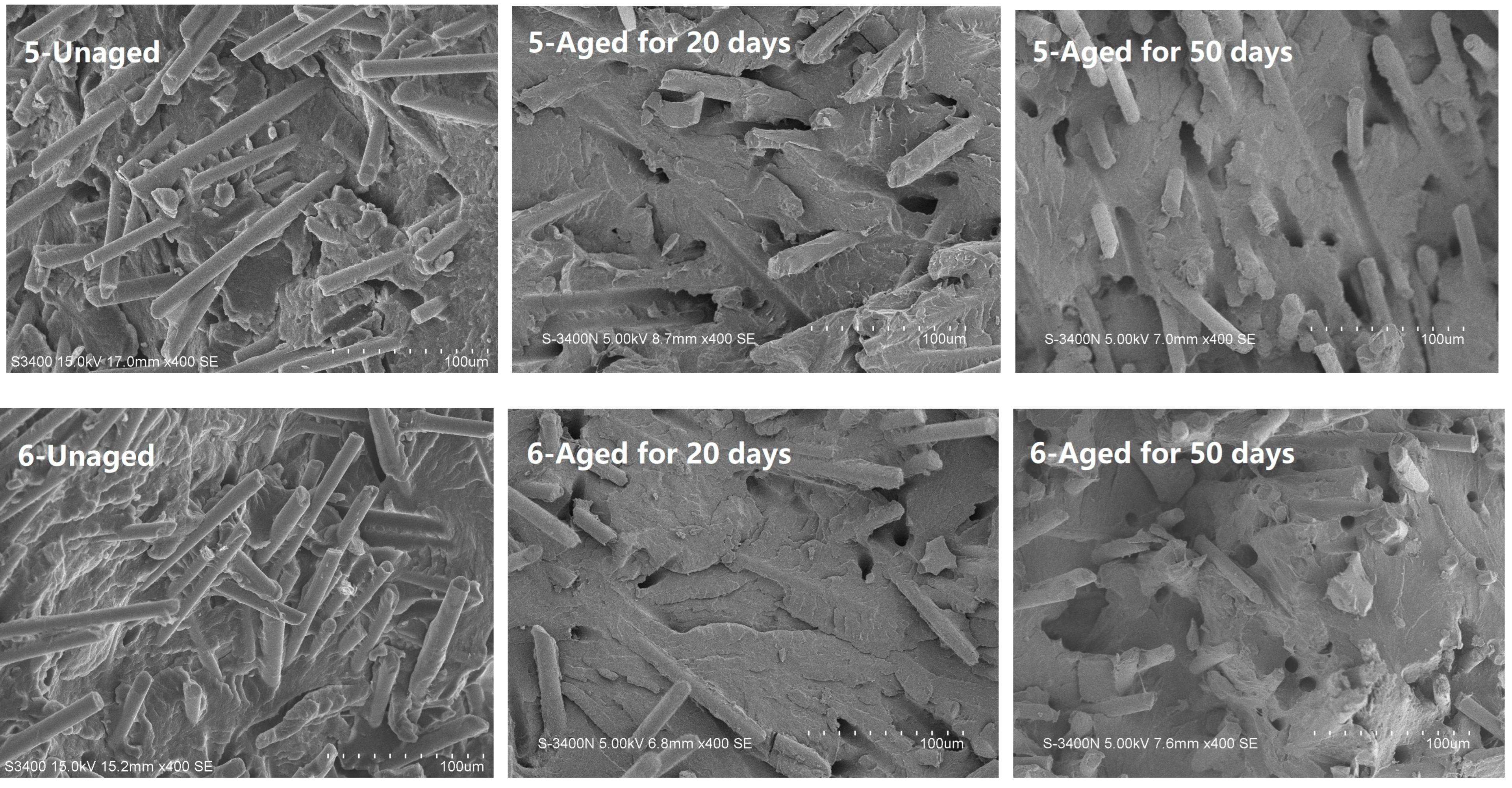 Polymers 14 01280 g009b