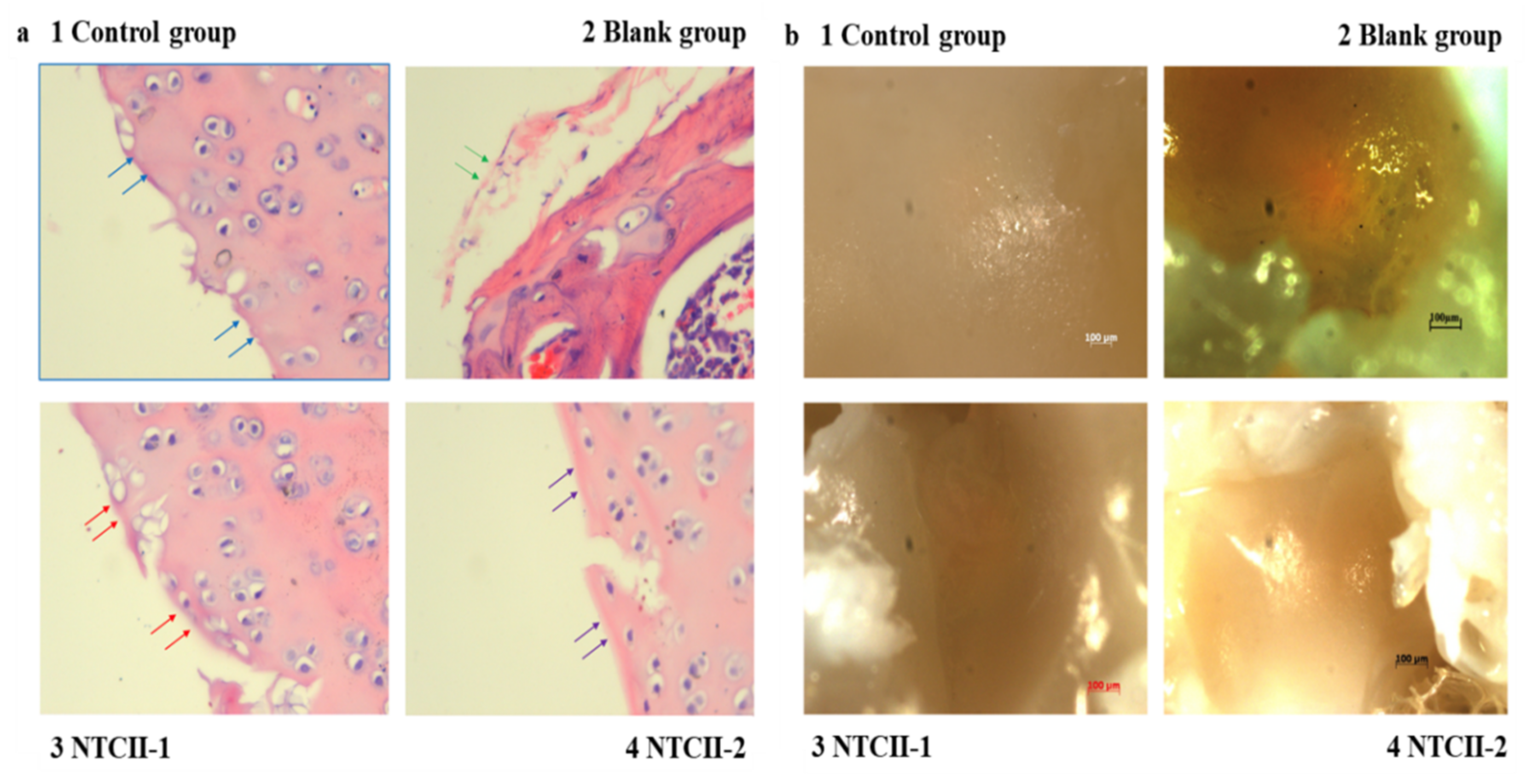 Polymers 14 01284 g011