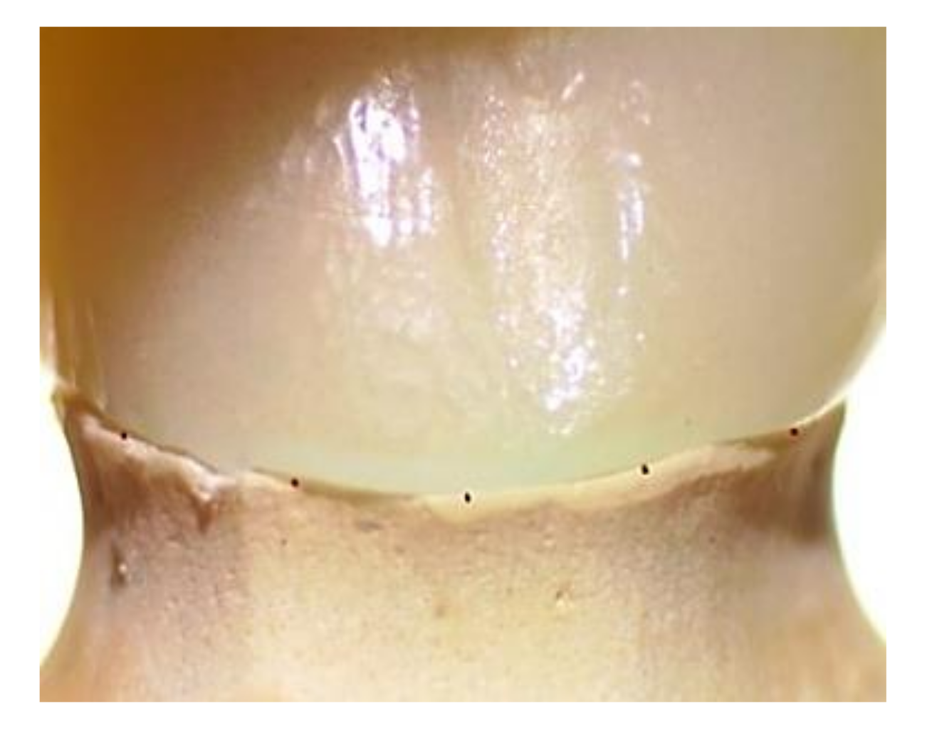 Polymers 14 01285 g011 Polymers 14 01285 g011