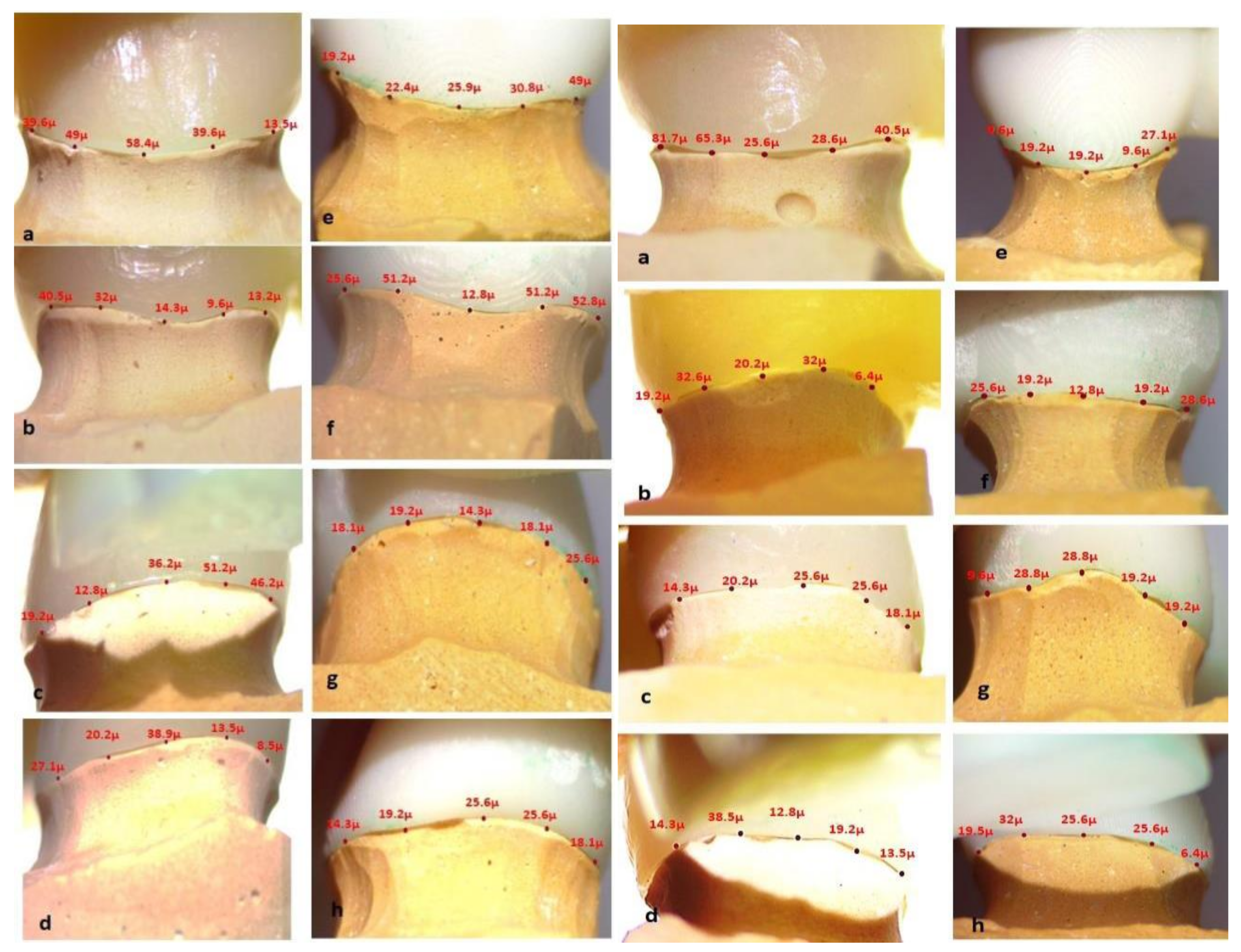 Polymers 14 01285 g017 Polymers 14 01285 g017