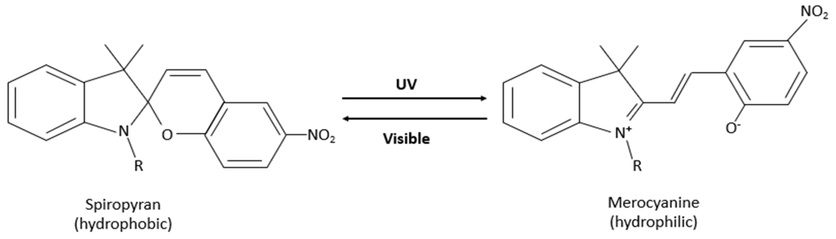 Polymers 14 01286 g003
